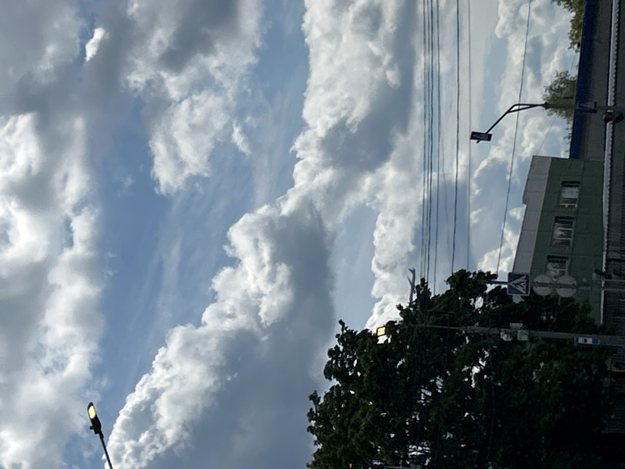 The image captures a segment of the sky over Zelenograd, Russia, on a cloudy day. The upper portion of the frame is dominated by large, white, cumulus clouds against a blue sky. A street lamp with its light on is visible in the upper left corner, attached to a pole. In the middle ground, a tree with dense, dark green foliage stands on the left. An airplane is captured in flight, appearing as a small white object with wings outstretched, silhouetted against the clouds and a line of power wires. Below the tree and the airplane, a building with a light green facade and a white roof is visible. Several street signs, including a pedestrian crossing sign, are mounted on poles. Power lines are strung horizontally across the mid-section of the image. The lower part of the frame shows parts of other buildings or structures.