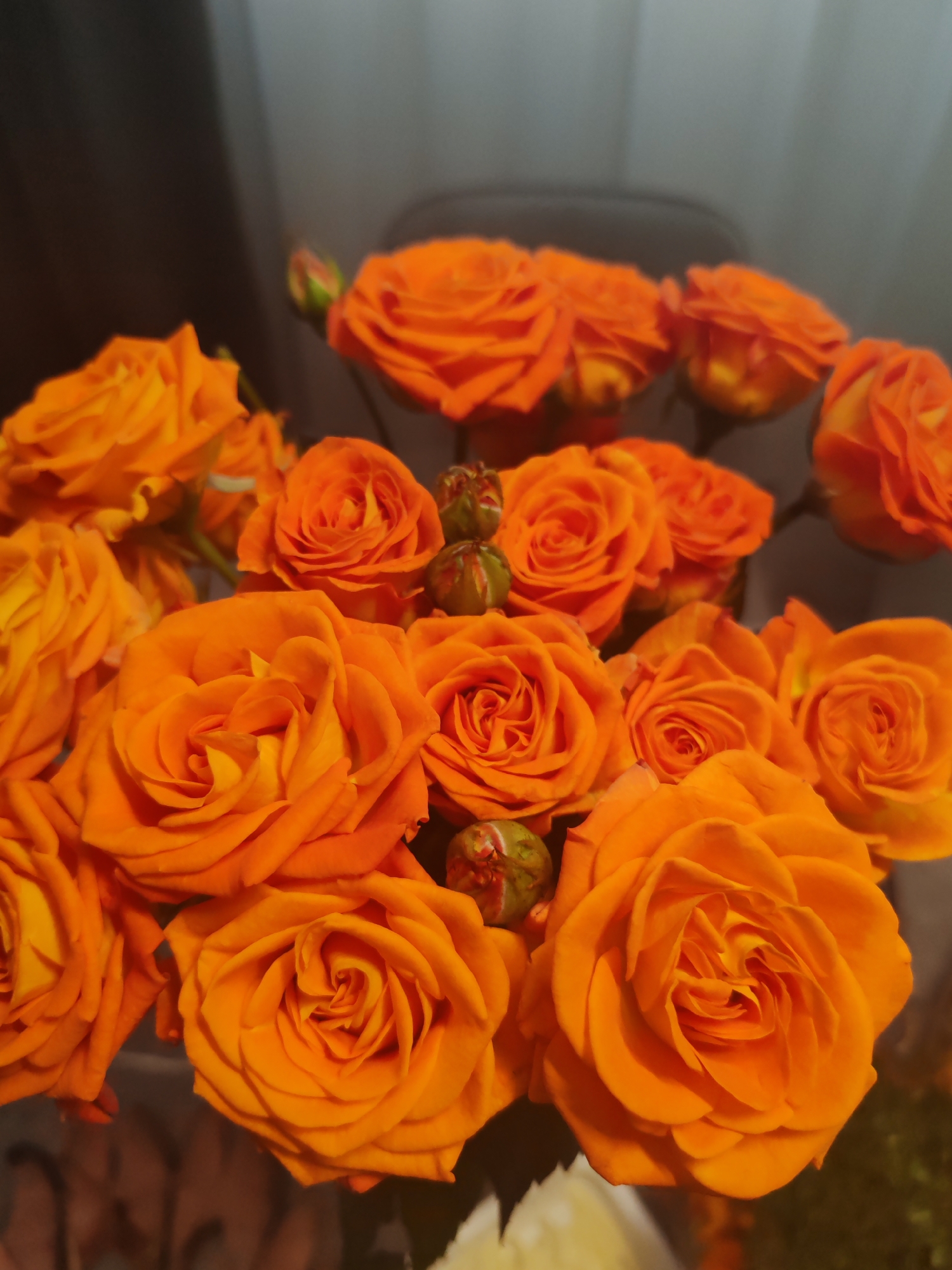 A close-up, eye-level shot displays a bouquet of orange roses, with several buds interspersed. The roses are in varying states of bloom, some fully open, others tightly closed. The backdrop appears to be a room with a combination of gray and soft, diffused lighting. The location is Chaikovsky, Russia.
