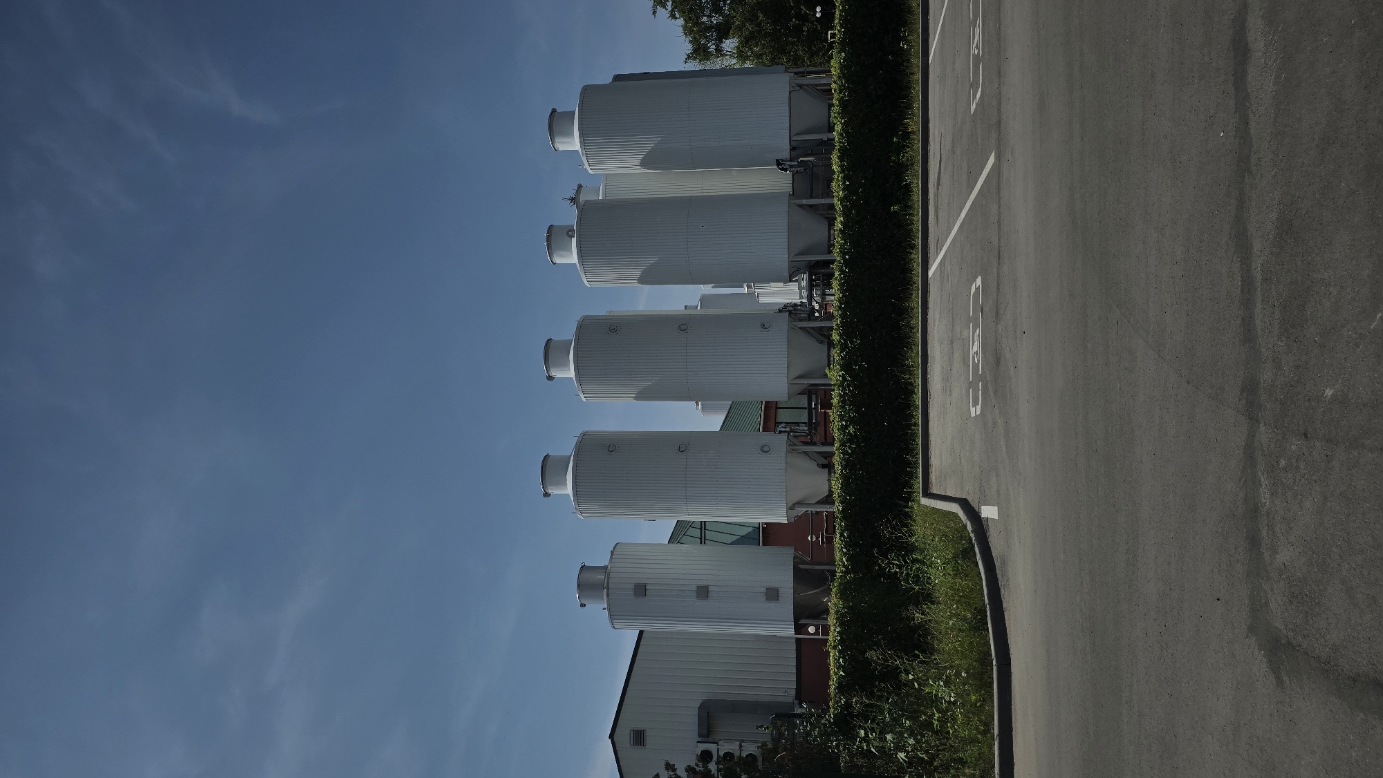 The image shows a row of five large, white industrial silos with conical bottoms, standing in front of a building with a dark roof and light-colored walls. A green hedge runs along the base of the silos, separating them from a paved parking lot with white painted lines and a handicap symbol. The sky above is a clear blue with a few wispy clouds. The scene is static and appears to be an exterior shot of an industrial or storage facility. The location is Togliatti, Russia.