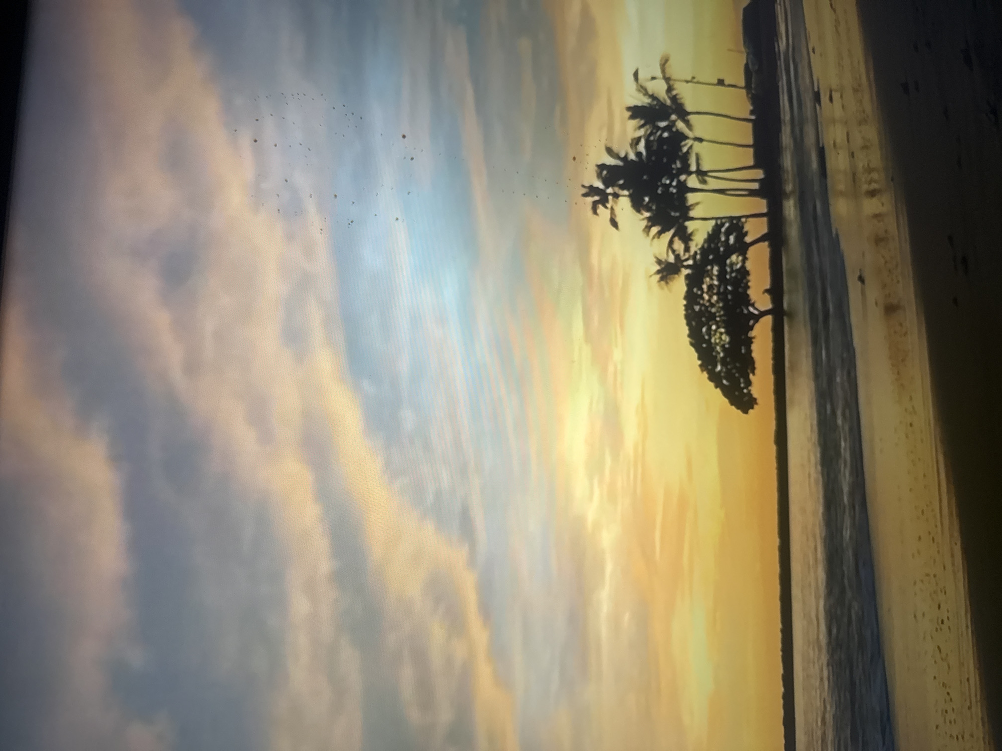 This media file depicts a serene beach scene during what appears to be sunset or sunrise, given the warm, golden hues in the sky. The sky itself is filled with soft, wispy clouds in shades of orange, yellow, and blue, suggesting a beautiful atmospheric display. Silhouetted against this vibrant sky are several palm trees, their fronds fanning out, creating a classic tropical or sub-tropical feel. Closer to the foreground, the dark silhouette of another, denser tree is visible.
The scene includes a sandy beach and the ocean. The water is calm, with gentle waves lapping at the shore, reflecting the colors of the sky. The sand appears wet near the waterline, further indicating the presence of the sea.
There are no people or explicit objects visible in the scene, making it a purely natural landscape. The overall mood is tranquil and peaceful, evoking a sense of calm and natural beauty. The time of day is clearly either dawn or dusk, characterized by the low angle of the sun and the rich coloration of the sky. There are no visible text elements in the media file. The location context provided is Herzliya, Israel, which aligns with coastal scenery.