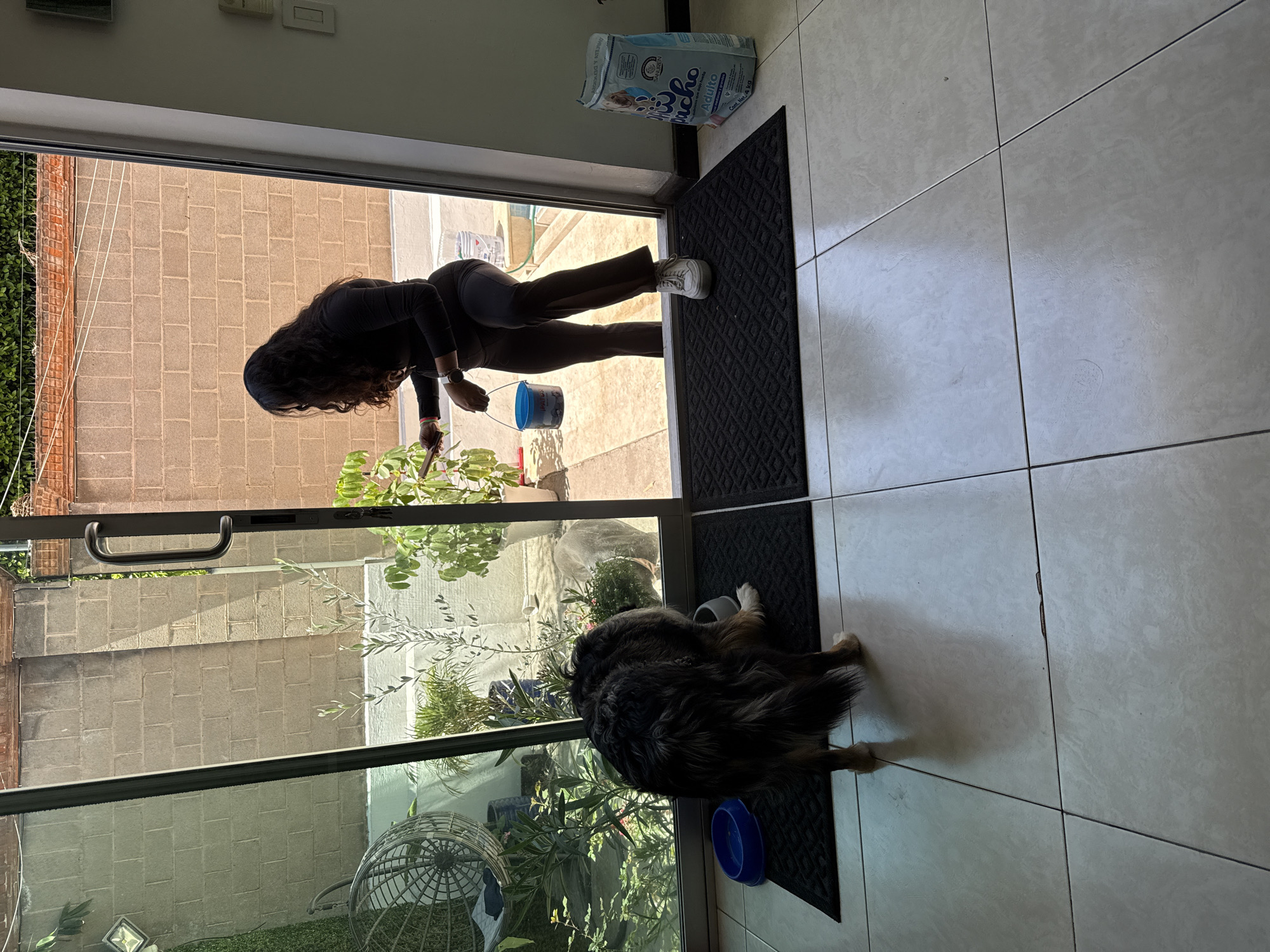 The image displays an indoor-outdoor domestic scene captured from within a residence in San Bernardino Tlaxcalancingo, Mexico, looking out onto a patio area.
The foreground consists of a light-colored tiled floor. Two dark, textured rectangular doormats are positioned side-by-side at a glass sliding doorway. To the left of the left doormat, an empty blue plastic dog bowl is on the tile. A medium to large-sized dog, with dark and tan fur, stands on the left doormat, facing away from the viewer, its head lowered into a grey bowl from which it is actively eating or drinking.
A female individual with long, dark, wavy hair, dressed in a dark long-sleeved top, dark pants, and white sneakers, occupies the doorway. She faces partially right and away from the viewer, bending slightly forward while looking towards the exterior. She holds a blue plastic bucket in her left hand and a dark-colored smartphone in her right hand. To the right of the right doormat, a large, light-blue bag of "Nuichu Adulto" dog food rests on the floor against a light-colored interior wall.
Beyond the doorway, a sunlit patio area is visible. This exterior space features a tiled floor, multiple potted plants, and tall, light-brown concrete block walls. A lower white retaining wall runs along the base of the taller walls. Through the glass panels, a hanging wicker-style chair and a wall-mounted spotlight are discernable. A white bucket and a coiled white hose are visible further back in the patio area.