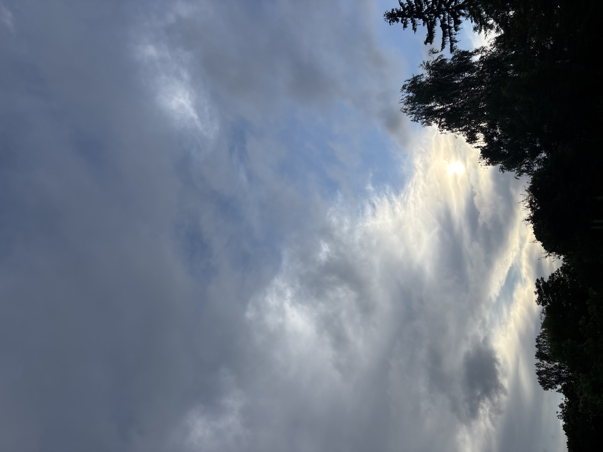 The image shows a view of the sky and treetops at dusk. The sky is filled with a mix of dark, ominous clouds and lighter, wispy clouds, with patches of blue visible. The sun is partially obscured by clouds and trees, casting a soft glow. The trees at the bottom of the frame are silhouetted against the sky, with their dark foliage creating a stark contrast. The scene appears to be in a natural or semi-natural setting, possibly on the outskirts of a city. Based on the context provided, this scene is located in the city of Strășeni, Moldova. There are no people or specific actions depicted in the image.