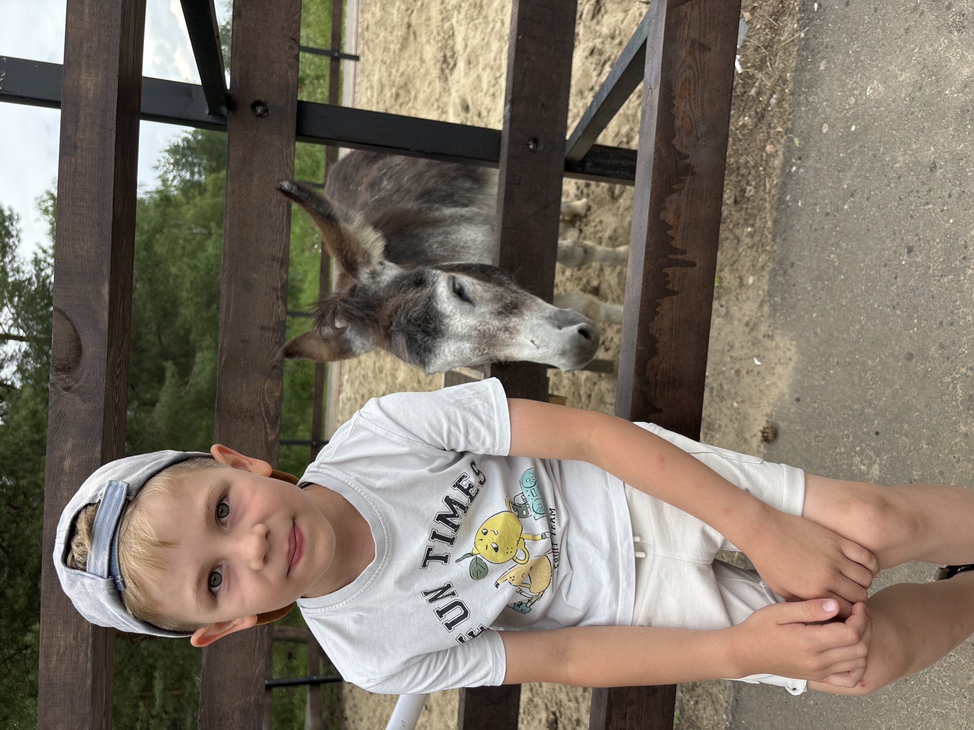 A young boy with blond hair, wearing a light blue baseball cap, a white t-shirt with the text "FUN TIMES" and a cartoon lemon, and light-colored shorts, is sitting on a wooden bench. He is looking towards the camera. Behind him, a donkey is visible in an enclosure. The enclosure is made of wooden fences and has a sandy ground. Trees and foliage are visible in the background. The image appears to have been taken outdoors, possibly at a farm or zoo, in Yaroslavl', Russia.