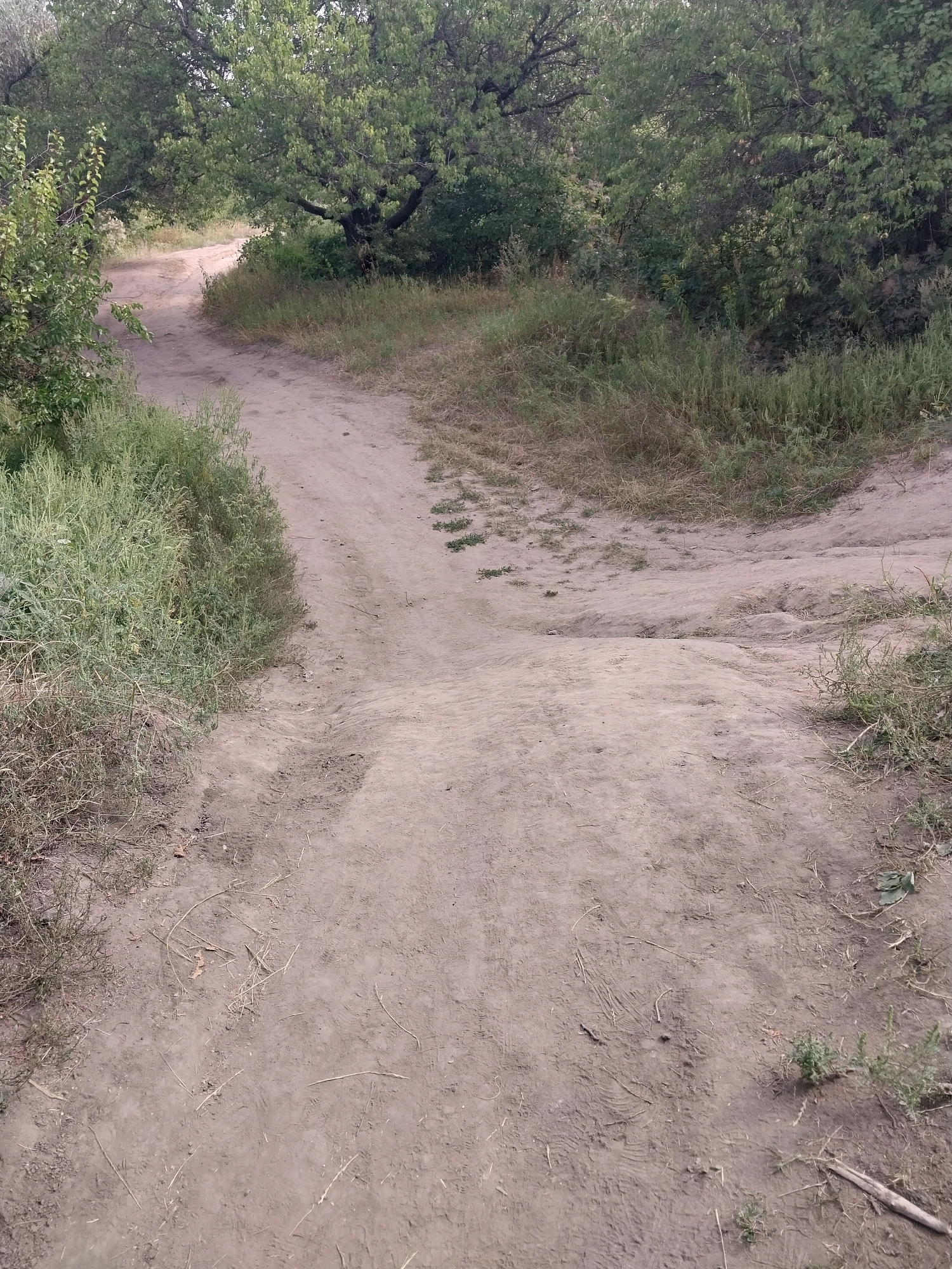 A dirt path winds through a wooded area, with trees and green foliage lining both sides of the path. The path appears to be in a state of disrepair, with areas of uneven ground and tire tracks visible. The overall impression is one of a rural or natural setting, possibly a park or hiking trail.