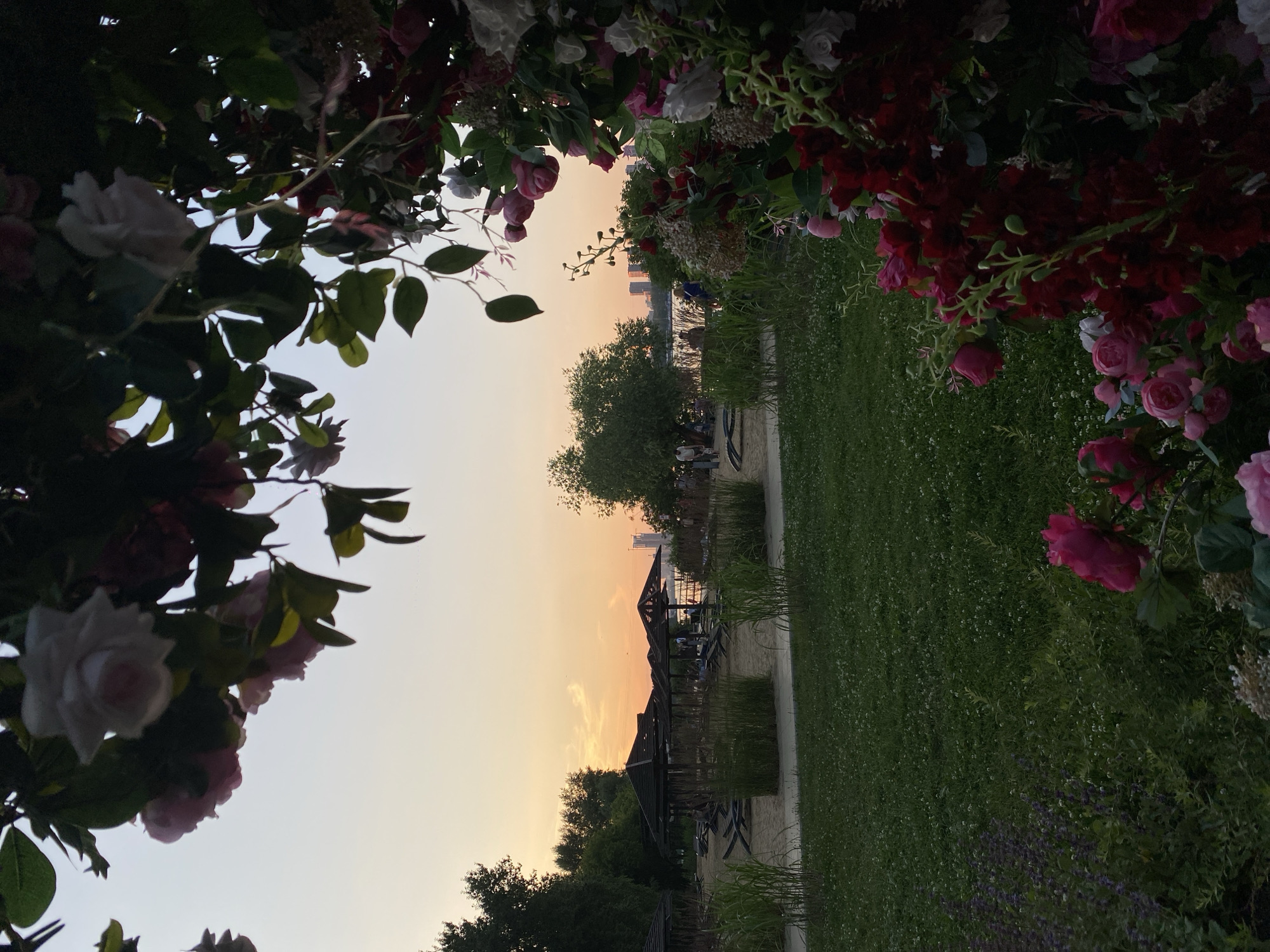 This image depicts a serene sunset scene on a sandy beach, likely located in Khimki, Russia. The foreground is adorned with an abundance of lush, vibrant flowers in shades of pink, red, and white, framing the view of the beach. Beyond the flowers, a sandy area is populated with several dark-colored lounge chairs and thatched-roof gazebos, suggesting a recreational area or beach club. A few individuals are scattered across the sand, some appearing to be seated, while others are standing and interacting. Tall, reedy grasses grow along the edge of the sand, separating it from a well-maintained green lawn dotted with small white flowers. In the distance, a tranquil body of water reflects the warm hues of the sunset. The sky transitions from a soft orange near the horizon to a pale yellow and then a lighter hue as it ascends. Trees line the perimeter of the scene, and faint outlines of buildings are visible on the far shore, indicating an urban setting within or near Khimki. The overall atmosphere is peaceful and idyllic, capturing a moment of twilight relaxation.