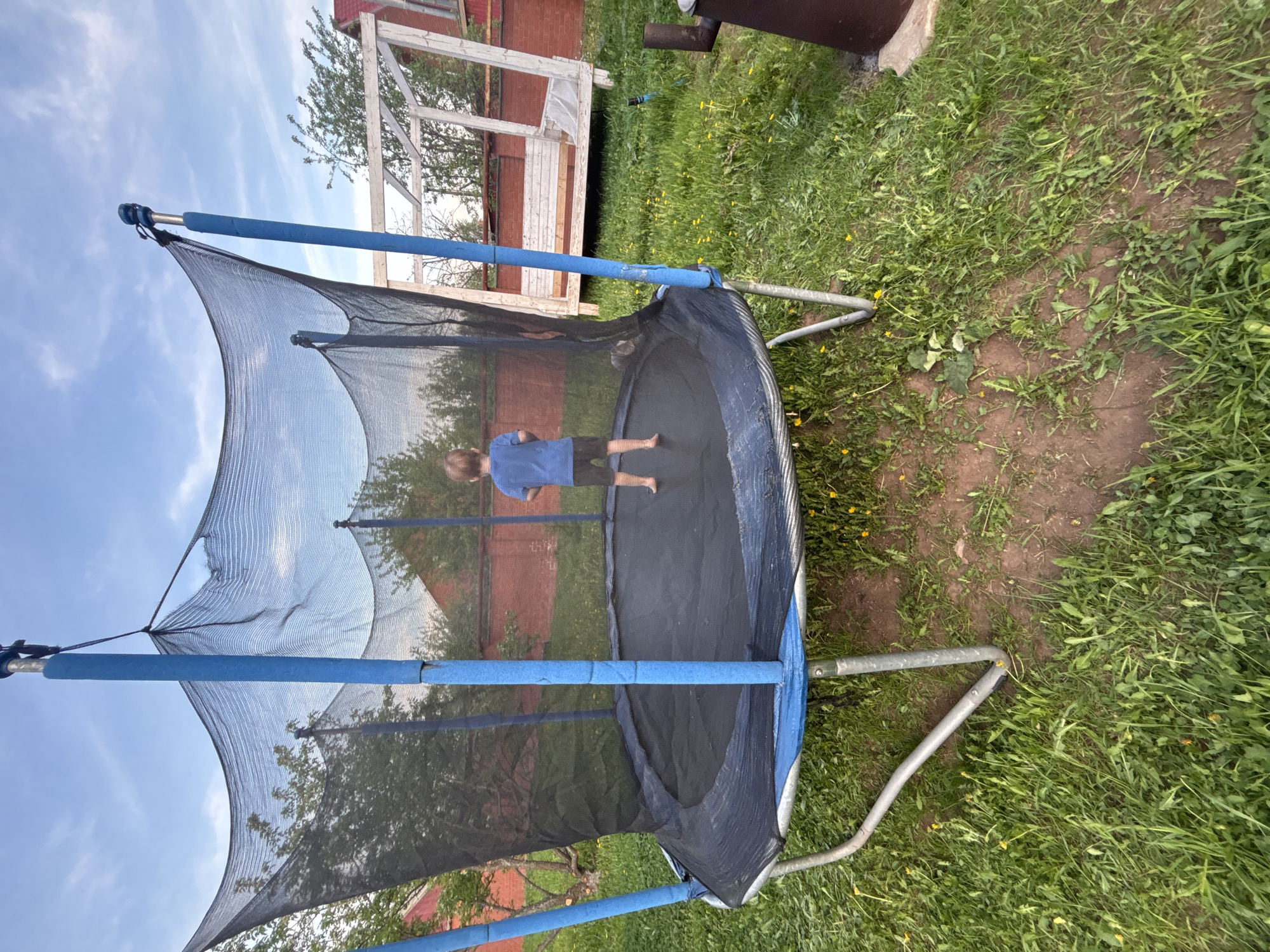 The image shows a trampoline in a grassy backyard. A child wearing a blue shirt and dark shorts is standing on the trampoline. The trampoline has a safety net enclosure with blue padded poles. The trampoline is surrounded by green grass and weeds. In the background, there is a partially visible red brick building with a white wooden structure attached to it. The location is likely Ферма, Russia.