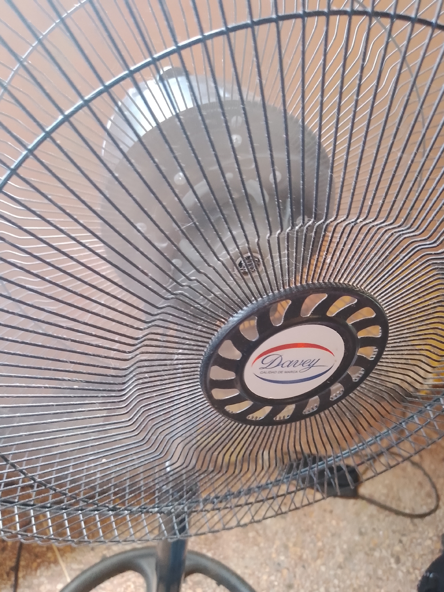 The image is a close-up, angled shot of the front grille and central logo of an electric fan. The grille is made of thin, dark metal wires, forming a radial pattern. The central part of the fan features a circular black housing with decorative cutouts, and within this, a white oval sticker with a logo. The logo displays the word "Davey" in an ornate script, with a red swoosh above and a blue swoosh below. Beneath "Davey," the text "CALIDAD DE MARCA" is visible in smaller, sans-serif font. The background is out of focus, showing a reddish-brown, textured surface that appears to be a wall or similar material. The scene suggests the fan is either stationary or has been photographed at a very low shutter speed, as there is some motion blur on the grille wires. The lighting appears to be ambient and somewhat diffused, creating subtle highlights and shadows on the metal. The image quality is moderate, with some grain and minor lens distortion. There is no discernible indication of a specific location in Santa Ana, Venezuela, within the visual elements of the photograph.