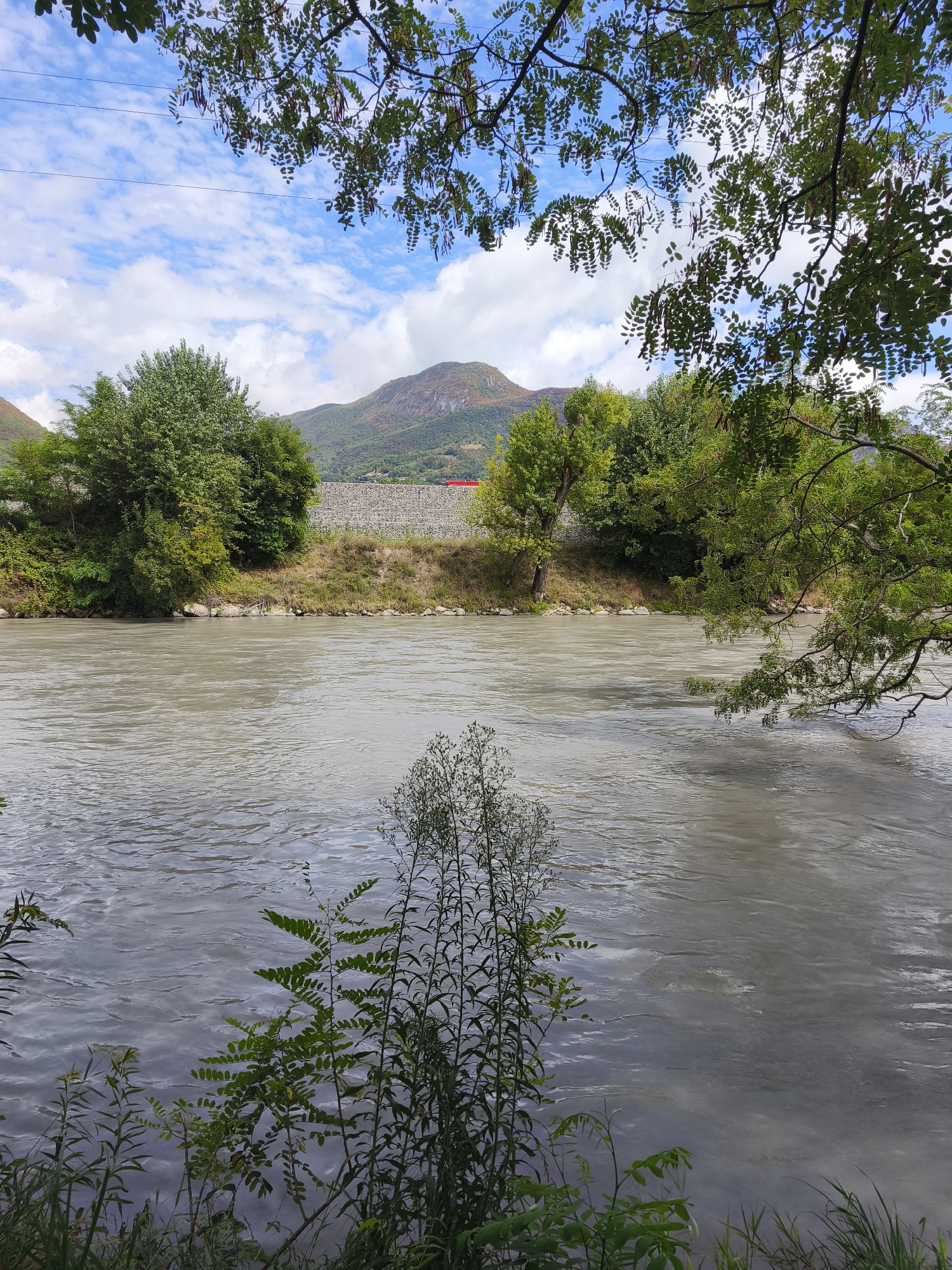 The image shows a wide, murky river flowing through a natural landscape. Lush green trees line the banks of the river, with a steep, tree-covered hill rising in the background. A stone wall and some red structures are visible on the distant bank. The sky is partly cloudy with a bright blue sky. The foreground features tall grasses and leafy plants growing along the river's edge. The scene is tranquil and depicts a natural environment.
The location is on the Isère River in Fontaine, France.