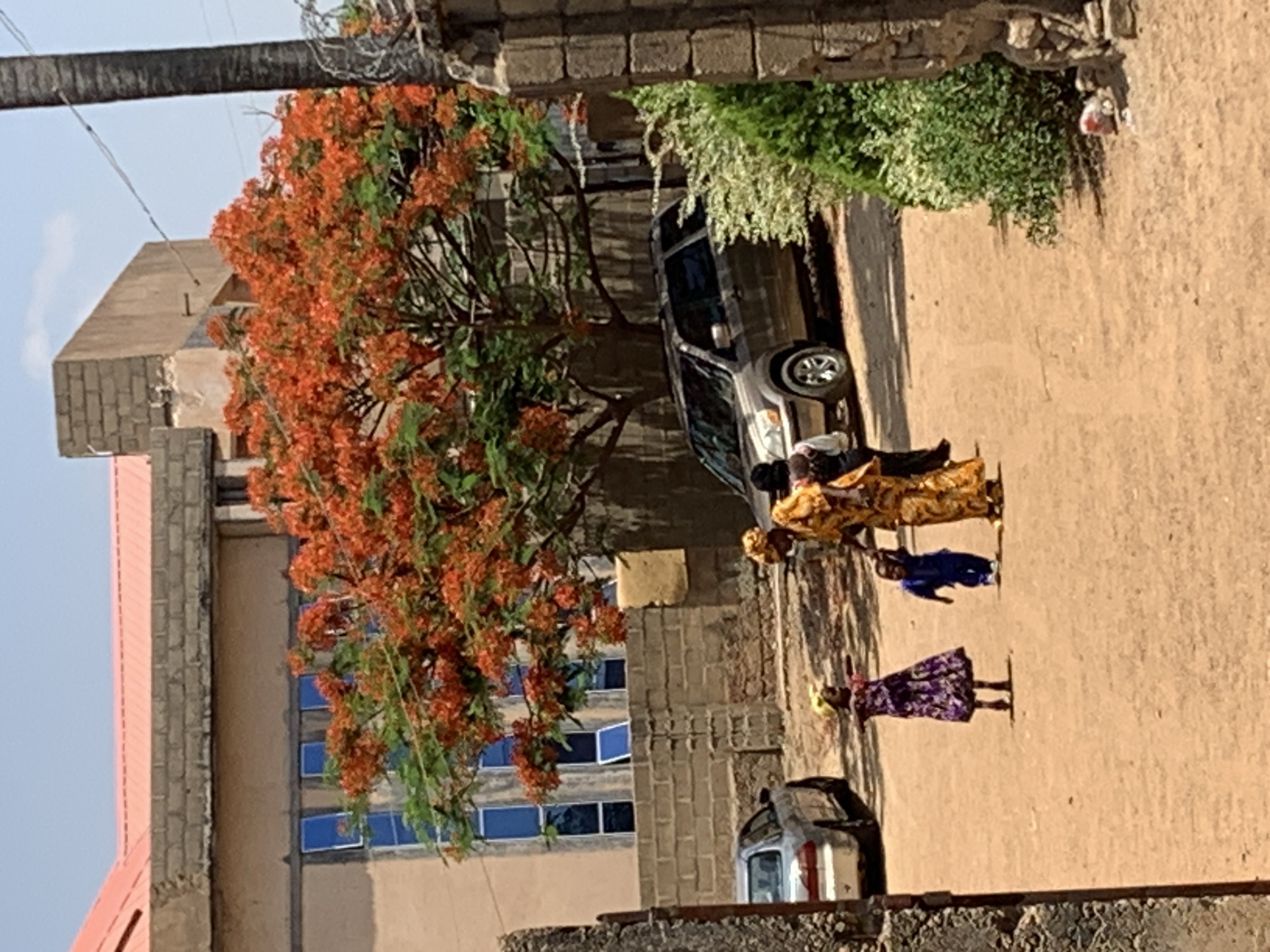 Captured in Rafin Par, Nigeria, the image presents a street scene. A flamboyantly flowering tree stands beside a multi-story building with blue-tinted windows. Parked nearby are two cars, one silver and another smaller, obscured by the foreground. Three people are visible in the street, appearing to be a woman in a gold dress with two children, one in blue and another in purple. The street is unpaved, and the scene is framed by brick structures.