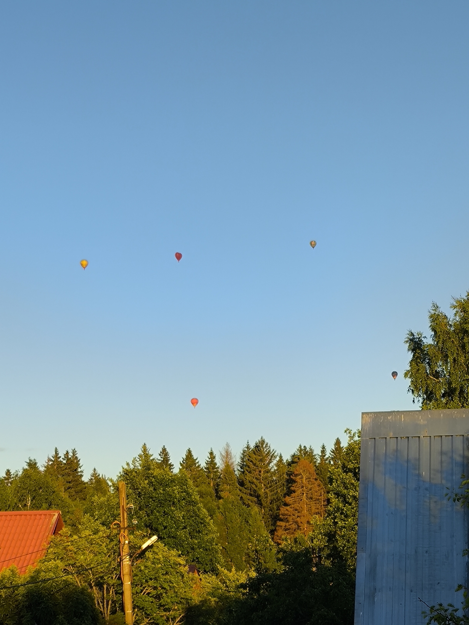 The image captures a clear blue sky above a wooded area, with several hot air balloons visible. In the foreground, a red-tiled roof of a building is partially visible on the left, and a light blue, corrugated metal structure occupies the right side of the frame. The middle ground is dominated by a dense line of green trees, with some appearing as evergreens and others with fuller foliage. A single, leafless brown tree stands out within the green canopy, possibly indicating a different species or season. A utility pole with wires and a light fixture is also present in the middle ground, to the left of the wooded area. The hot air balloons, varying in color and size, are scattered across the sky, with one being yellow, one with red and yellow stripes, one orange, and two dark-colored balloons. The lighting suggests it is late afternoon or early evening, with a warm glow on some of the foliage and the balloons. The scene appears to be a rural or suburban landscape, possibly on the outskirts of Новоникольское, Russia, given the presence of residential structures and natural vegetation. There are no people visible in the image.