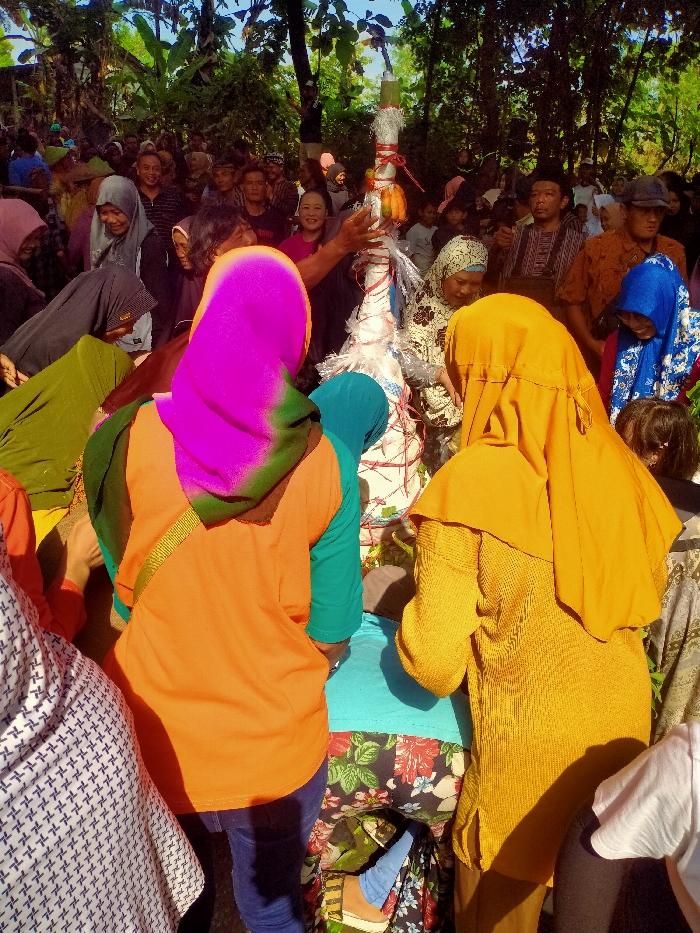 The image shows a large group of people gathered around a decorated pole in Masaran, Indonesia (latitude: -7.471, longitude: 110.957). The pole is adorned with white cloth and various decorative elements, including a white ribbon, a long thin white cloth with stripes, and a yellow and green rope. Some people in the crowd are wearing traditional clothing, while others are wearing modern clothing. The people are mostly focused on the pole and are engaging in conversation. Some people are touching the pole while others are standing nearby. The surrounding vegetation is mostly dense with trees and plants. It is unclear if the pole is meant to be a religious or cultural symbol.