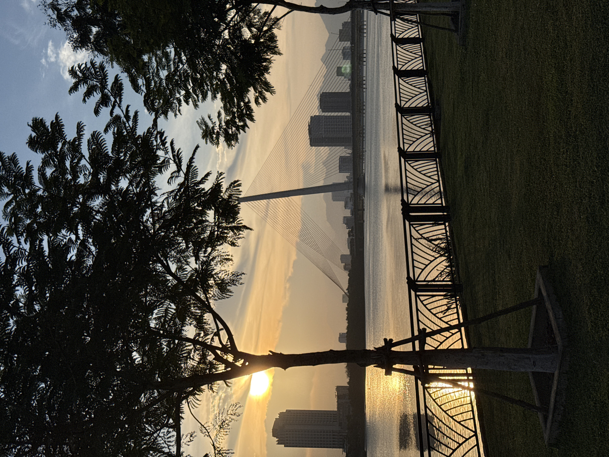 The image captures a serene sunset view along the Han River in Da Nang, Vietnam. In the foreground, a lush green lawn leads to a decorative black metal fence. Beyond the fence lies the Han River, its surface shimmering with the golden hues of the setting sun. Silhouetted trees frame the scene, with branches and leaves creating intricate patterns against the sky. In the mid-ground, the iconic Dragon Bridge, a cable-stayed bridge, stretches across the river, its distinctive design visible against the twilight sky. Several modern buildings and city structures are visible on the opposite bank, with mountains forming a distant backdrop. The sun, a bright disc partially obscured by tree branches, casts a warm glow across the entire panorama, highlighting the tranquil atmosphere of the riverside park.