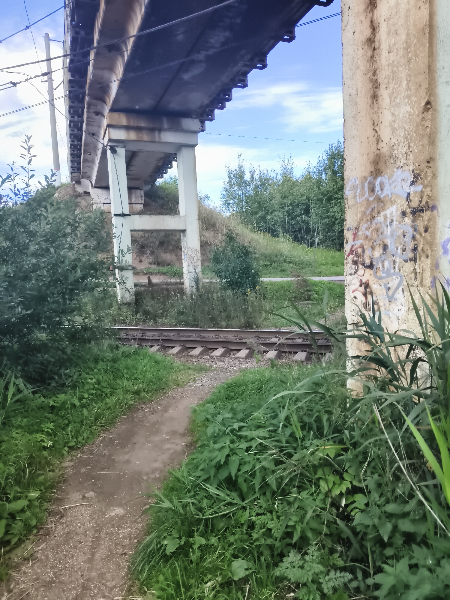 A dirt path curves through lush green vegetation, leading towards a set of railroad tracks. In the background, a large concrete overpass stretches across the frame, supported by massive pillars. The pillars are covered in graffiti. A dense forest lines the horizon under a bright blue sky with scattered clouds. The scene appears to be in a semi-rural or natural setting within the city of Яблоко-1 Снт, Russia. There are no people present in the image.