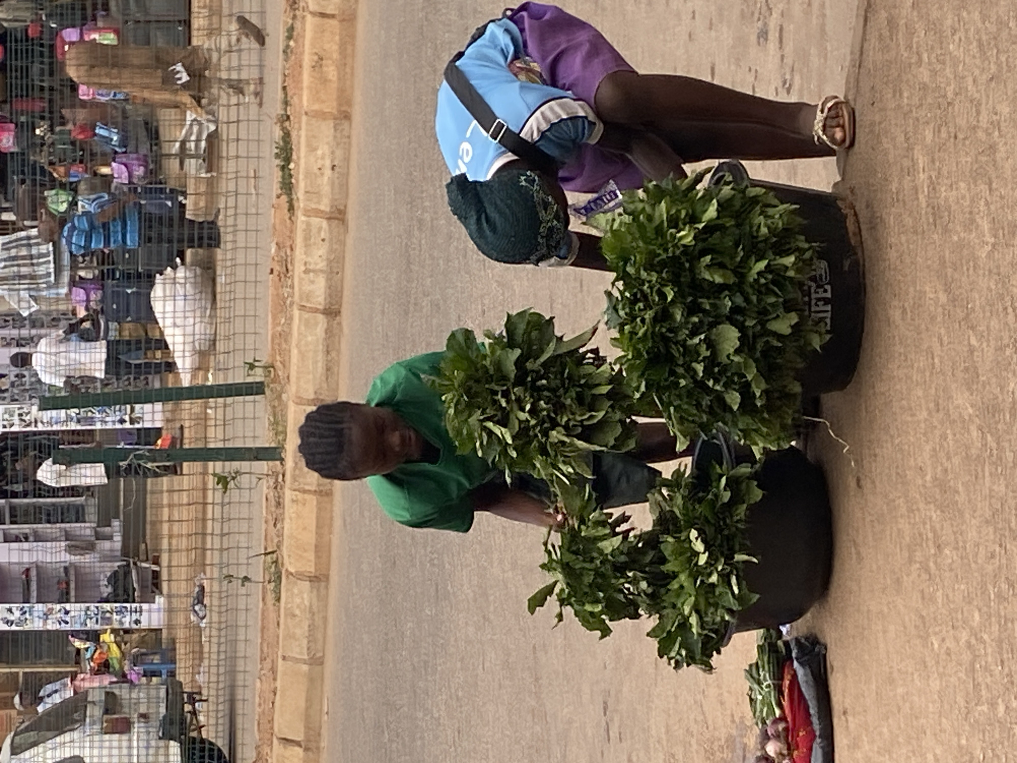 This image, captured in Bukuru, Nigeria, presents a lively outdoor market scene during daylight hours. Two individuals are prominently featured in the foreground, actively engaged with fresh produce.
The person positioned centrally, likely a vendor, is seen in a green t-shirt and dark trousers, bending over a black basin overflowing with lush, dark green leafy vegetables, possibly fluted pumpkin leaves (Ugu) or a similar local green. Their short, dark hair is neatly styled. To their right and slightly behind, another individual, dressed in a light blue top, purple shorts, and a dark green head covering, is also stooped over similar containers of greens. This person wears a black cross-body bag and light-colored sandals. One of the black containers prominently displays the partial word "LIFE" in white capital letters. Near the lower right corner, a smaller assortment of produce, including red onions and green stalks (possibly spring onions), is arranged on the ground.
In the background, a bustling market environment is visible behind a metal fence or stall structure. Various colorful bags, including handbags and shoulder bags, are displayed for sale. Other market goods, indistinct figures, and a partially visible white vehicle further in the distance contribute to the busy atmosphere. The ground is paved, and a concrete curb separates the main selling area from what appears to be a road. The bright, clear lighting indicates it is daytime, with no signs of adverse weather. The overall scene depicts a routine daily activity within a local African market, centered around the trade of fresh vegetables.