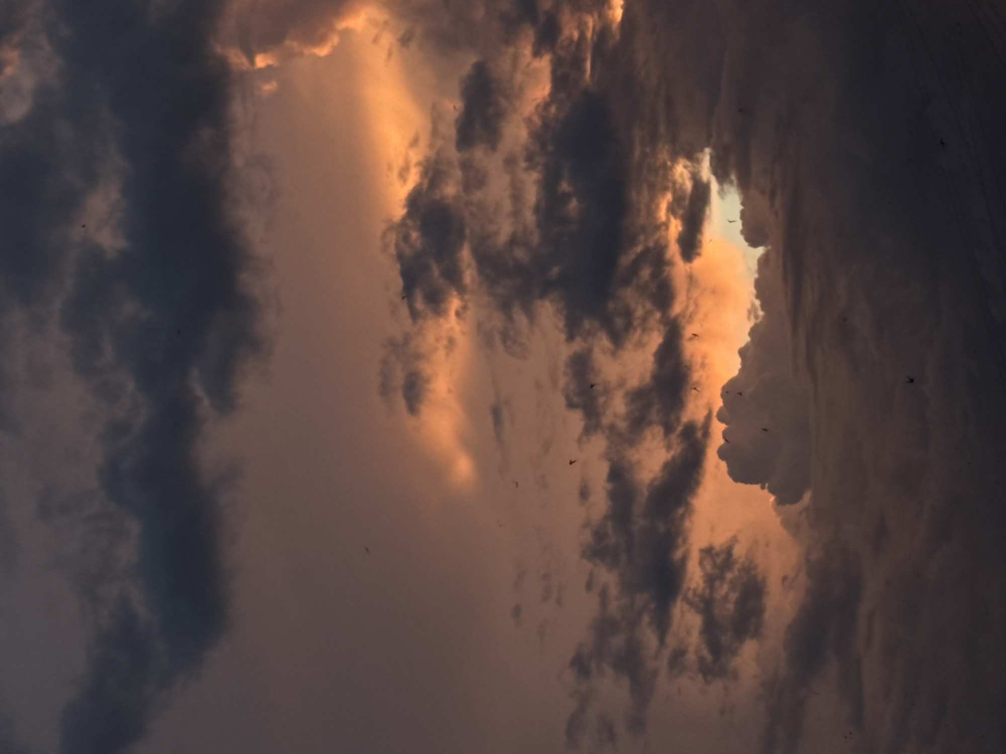 The image shows a dramatic sunset over the city of Luhansk, Ukraine. Dark, heavy clouds are interspersed with patches of bright orange and yellow light, suggesting the sun is low on the horizon and breaking through the atmospheric conditions. Several small birds are visible flying against the colorful sky, adding a sense of movement and life to the scene. The overall mood is one of both grandeur and perhaps a touch of foreboding, due to the intensity of the colors and the thickness of the clouds. The composition focuses on the sky, with no discernible ground-level features or structures that would specifically identify a precise location within Luhansk, other than the atmospheric conditions of a sunset over an urban or semi-urban environment.
