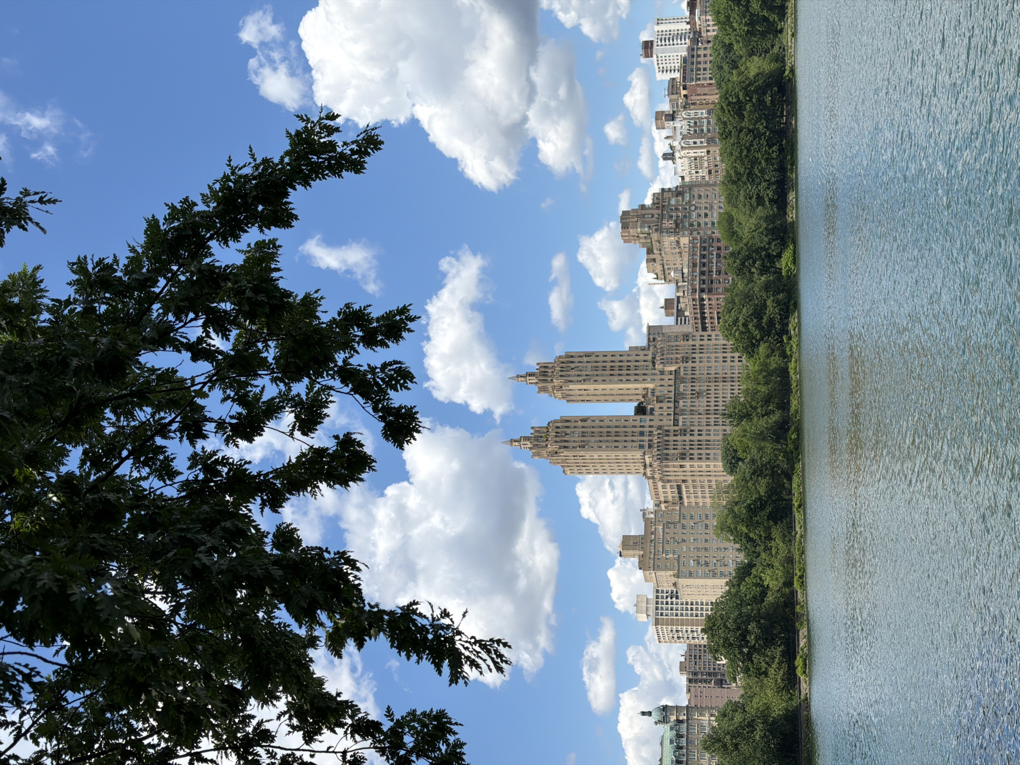 The image presents a vibrant daytime landscape featuring a body of water, a city skyline, and a clear sky, framed by tree foliage. In the foreground, the dark green leaves and branches of a tree, possibly an oak, occupy the left side of the frame, partially obscuring the sky.
The midground is dominated by a large expanse of water, appearing as a reservoir or lake, with a rippled surface that reflects the bright sky. A strip of dense green trees lines the far bank of the water, separating it from the urban structures beyond.
In the background, a distinctive city skyline stands prominently under a bright blue sky dotted with scattered white, puffy cumulus clouds. Numerous tall, light-colored buildings with classic architectural details are visible, including the iconic twin towers of The San Remo building, which helps to identify the location as overlooking the Central Park Reservoir in New York City, looking towards Central Park West.
The time of day appears to be sunny daytime, with good visibility and clear weather. The scene is calm and serene, with no specific activity or people depicted. There is no visible text in the image.