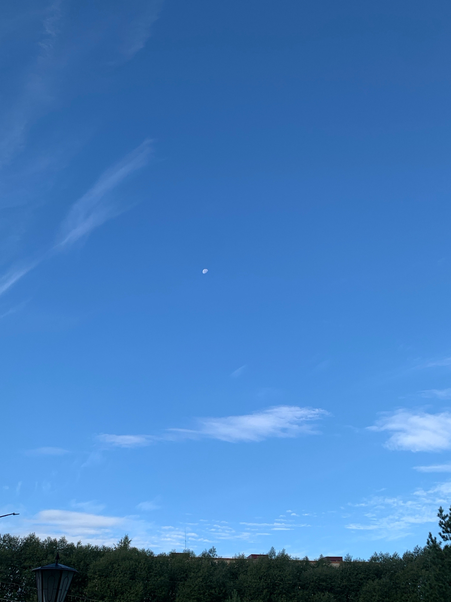 The image shows a daytime sky with a few wispy clouds and the moon visible as a small, pale disc. The sky is a clear, bright blue. Below the sky, a dense line of dark green trees forms the horizon. On the left side of the image, a portion of an outdoor lantern is visible, and a faint, thin pole or antenna rises from behind the trees on the right. The image appears to be taken from an elevated position, looking out over the trees. No people or animals are present. The scene is likely outdoors in a setting with trees, possibly a park or residential area, within the city of Prokopyevsk, Russia.