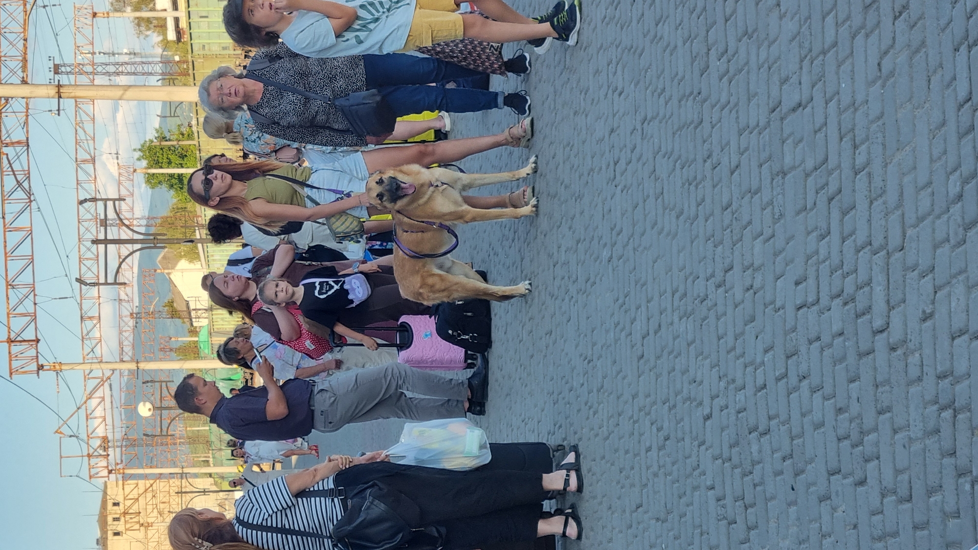 A medium shot captures a crowd of people and a dog on a cobblestone pathway, likely near a train station in Mukachevo, Ukraine, given the overhead train infrastructure. The scene is bathed in soft, late-afternoon sunlight. A mixed group of individuals, including men, women, and children, are present, many appearing to be travelers, with luggage visible. In the foreground, a light-brown dog with its mouth open, panting, stands on all fours, wearing a purple leash around its body. Behind the dog, a young girl in a black t-shirt with a white graphic is being pulled along by a pink suitcase. To the left, a woman in a black and white striped shirt holds a white plastic bag. Several other individuals are standing or walking, their attention directed forward or at their phones. The background features elevated railway tracks and some buildings.