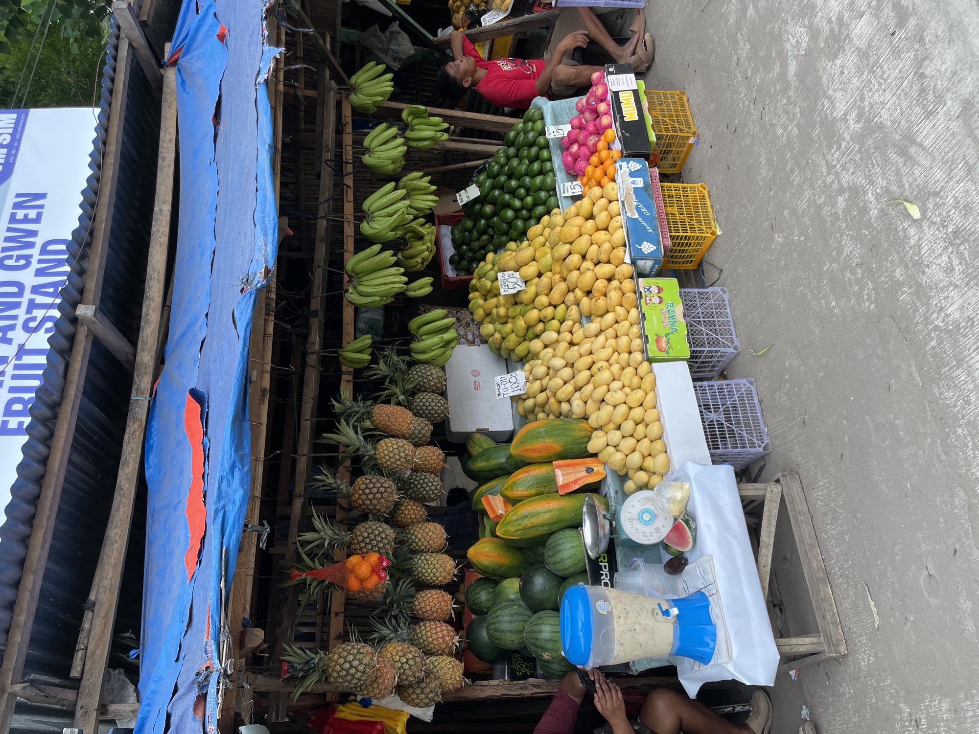 The image shows a fruit stand in Bacong, Philippines. The stand, identified by a sign that reads "Alind Gwen Fruit Stand," displays a variety of fruits, including pineapples, bananas, avocados, mangoes, papayas, and watermelons. Some of the fruit have price tags on them. In the back, a man wearing a red shirt lies on a shelf, presumably taking a nap. A beverage dispenser with a blue lid sits on the table at the bottom of the shot. A weighing scale is also visible. The surrounding environment appears to be a typical street scene with a simple structure providing shade for the fruit stand.