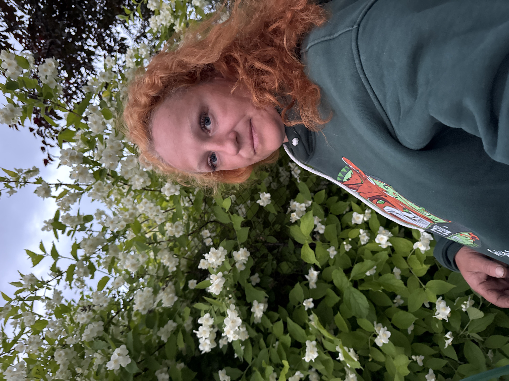 A woman with red curly hair and blue eyes is photographed from the chest up, looking at the camera. She is wearing a dark green hooded sweatshirt with a graphic design on the left side of the chest. She is standing in front of a dense bush of white jasmine flowers, with green leaves and some dark red leaves from another plant visible in the background. The sky above is overcast. The image appears to have been taken outdoors, possibly in a park or garden within the city of Chaikovsky, Russia, given the presence of blooming jasmine.