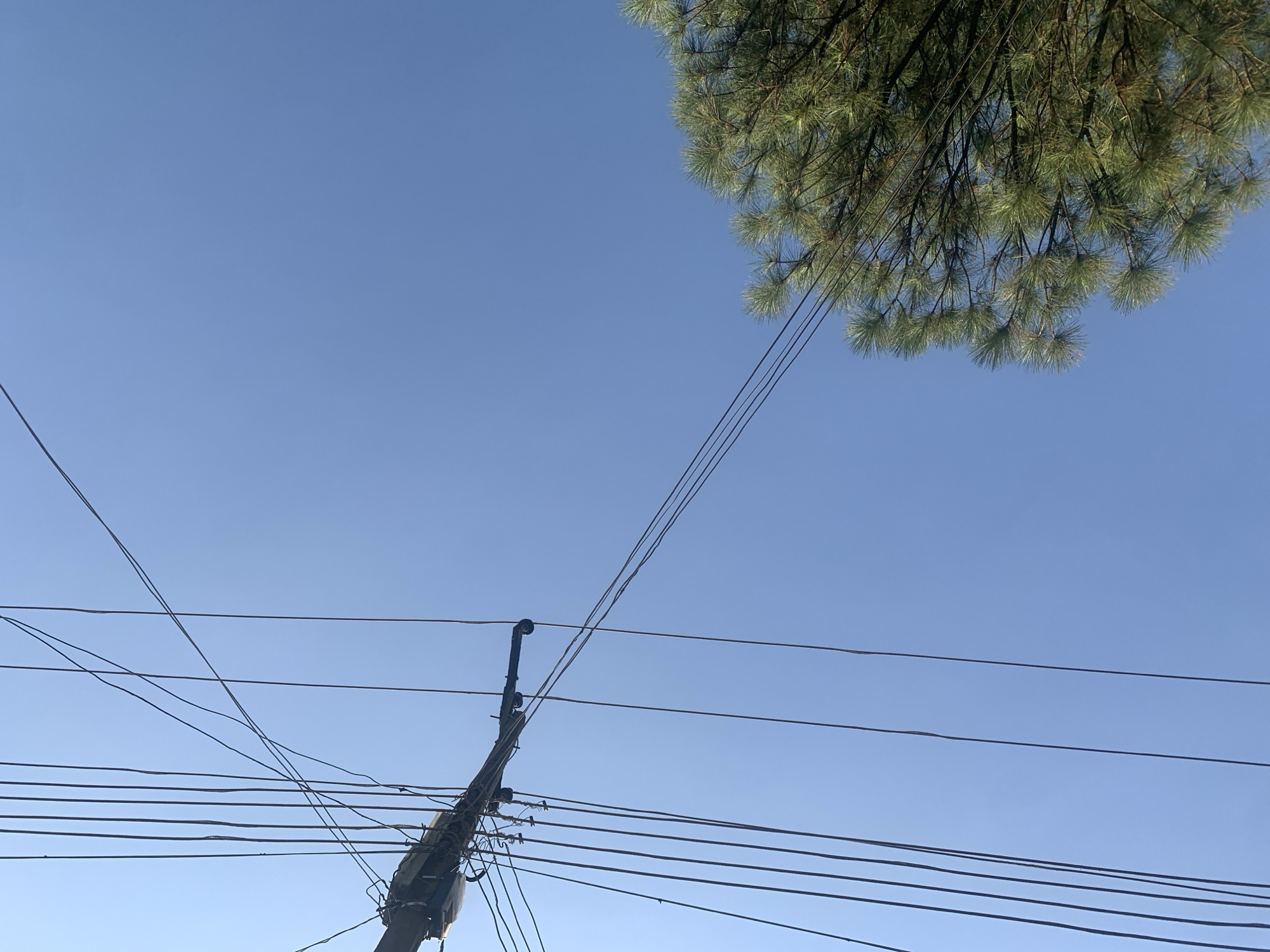 This image, taken in Rafin Par, Nigeria, is a low-angle shot looking up at a clear blue sky. A telephone pole with numerous wires extending from it dominates the left side of the frame. The wires are taut and crisscross each other, some disappearing out of frame. In the lower right corner, the bushy green branches of a pine tree reach into the sky. The scene appears to be an outdoor environment with utility infrastructure and natural elements.
