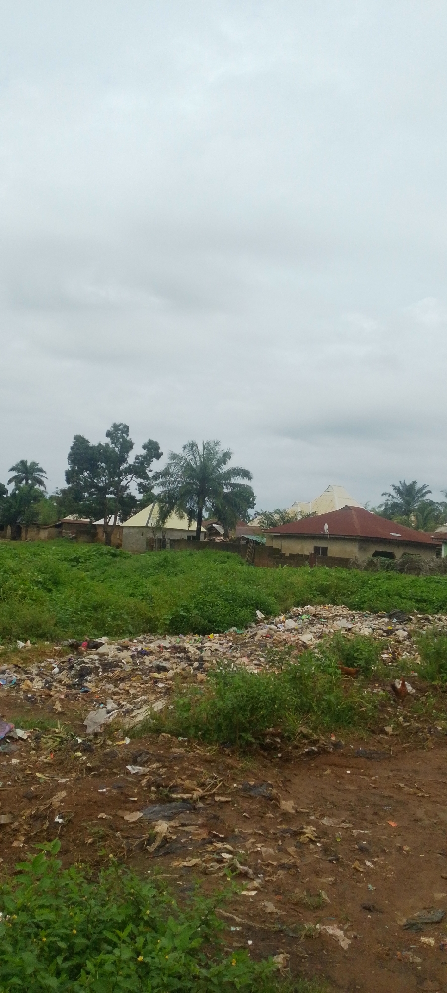 The image depicts an outdoor scene in Baissa, Nigeria, characterized by a cloudy, overcast sky, suggesting it might be daytime but not necessarily bright. In the foreground, there is a significant accumulation of garbage and debris, including plastic bags, wrappers, and other refuse, spread across a patch of dirt and low-lying vegetation. This creates a sense of neglect and disarray.
Behind the trash-strewn area, a patch of vibrant green, overgrown vegetation dominates the mid-ground, partially obscuring the view of the structures beyond. Several houses are visible in the background, appearing to be residential buildings. One house features a reddish-brown roof, while others have lighter-colored roofs, some with angular, modern designs. Palm trees and other leafy trees are interspersed among the buildings, typical of a tropical or sub-tropical environment. The overall scene conveys a rural or semi-urban setting in Nigeria, with a stark contrast between the natural growth and the man-made structures, and the prominent presence of refuse suggesting an issue with waste management. There is no visible text in the image.
