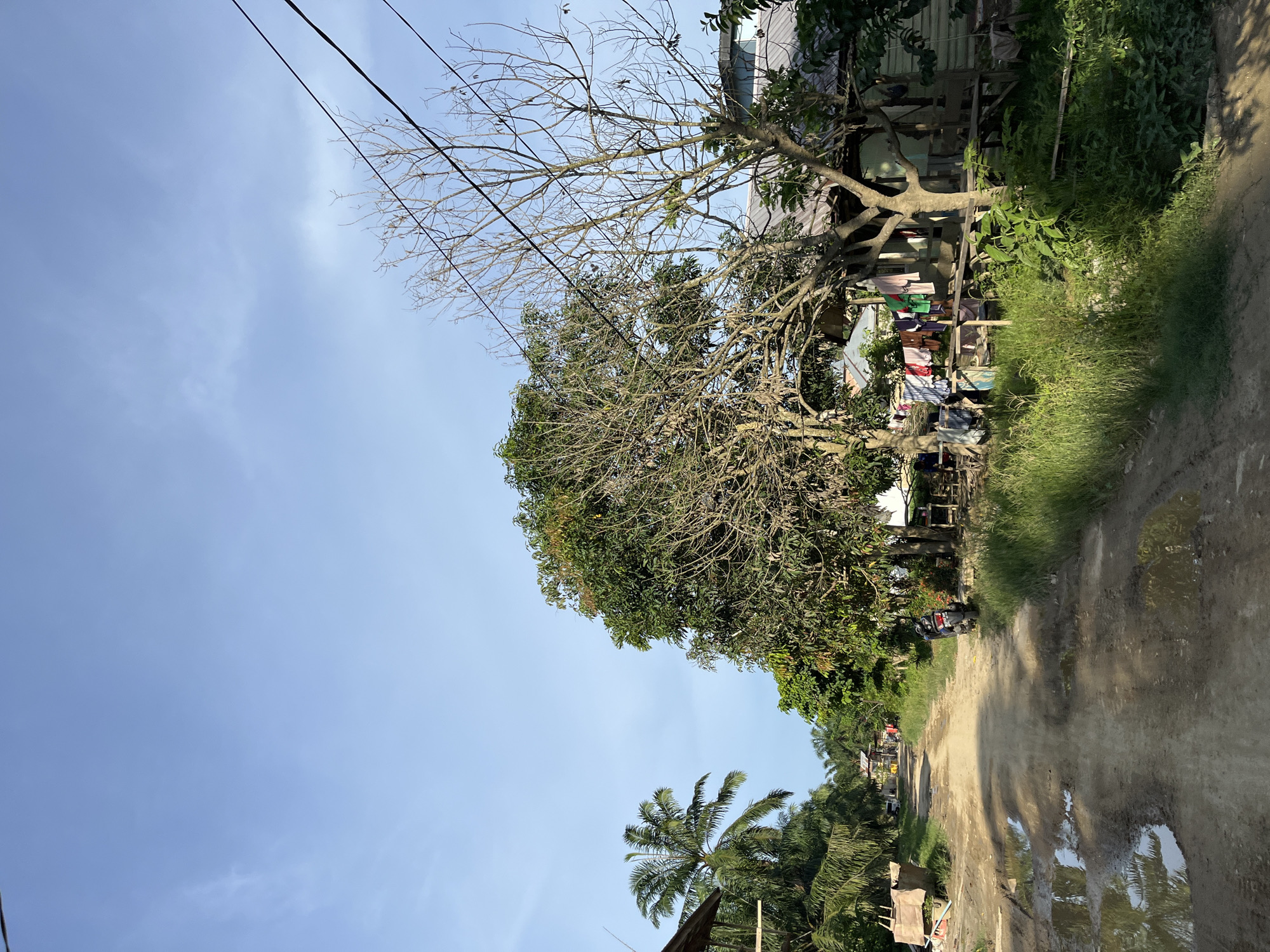 This is a ground-level, eye-level, full-frame photograph of a dirt road in Landuh, Indonesia. The road is unpaved and appears to be in disrepair, with several puddles of water creating reflections. On the right side of the road, there is a wooden house with laundry hanging on a clothesline in front of it. A leafless tree stands near the house, and a motorcycle is parked on the side of the road. On the left side of the road, there is a palm tree and some vegetation. The sky is clear and blue, with a few wispy clouds. The lighting suggests it is daytime, possibly late afternoon, with the sun casting long shadows.