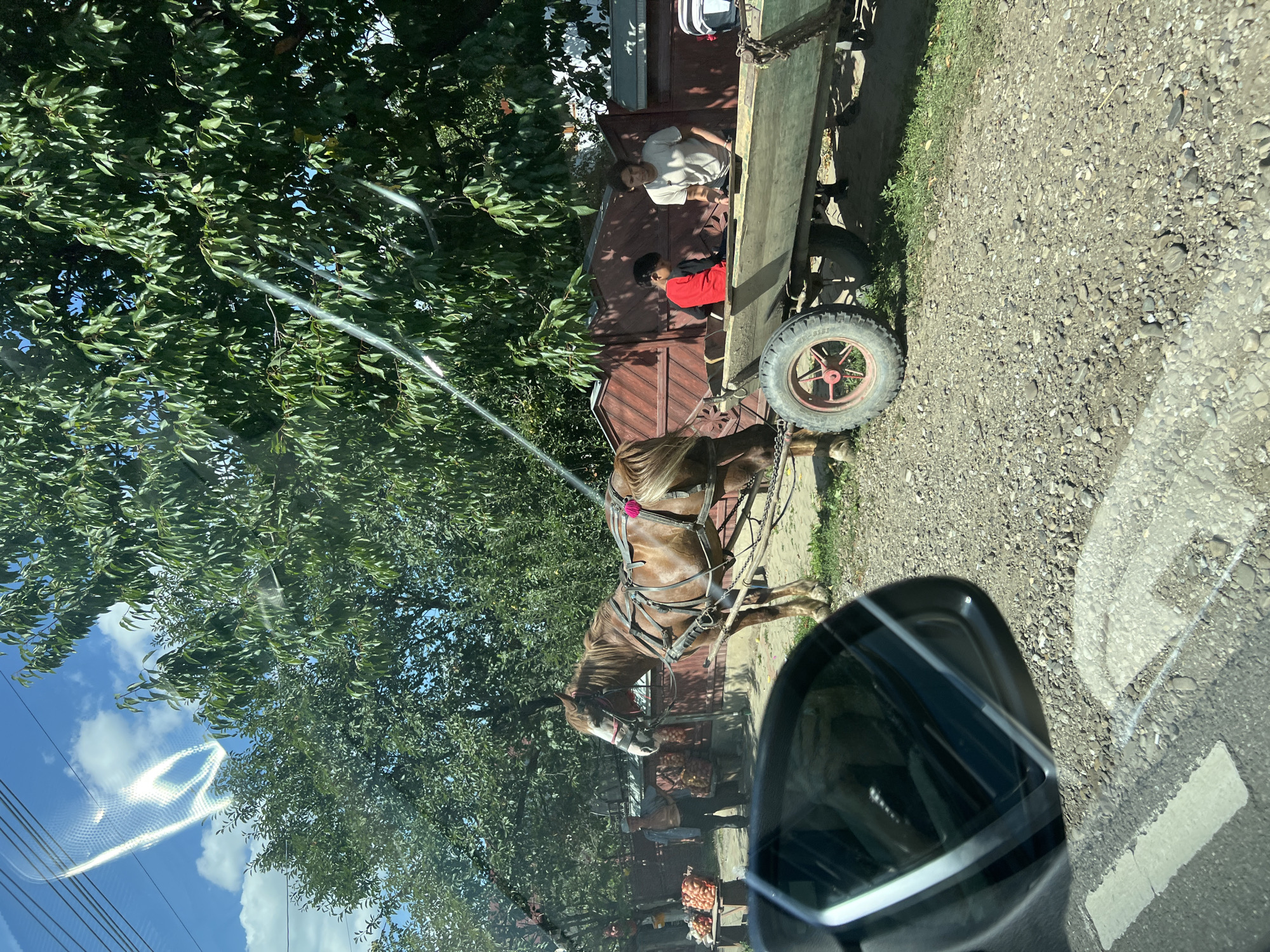In Băișești, Romania, a brown horse is harnessed to a wooden cart filled with produce. The horse stands on a gravel road, facing left. A man in a dark shirt and pants stands behind the horse, near a table laden with sacks of produce. The cart contains two passengers: a young boy in a red shirt and an adult in a light-colored t-shirt. A wooden fence and lush green trees form the backdrop. Reflections from a car window are visible in the foreground.
