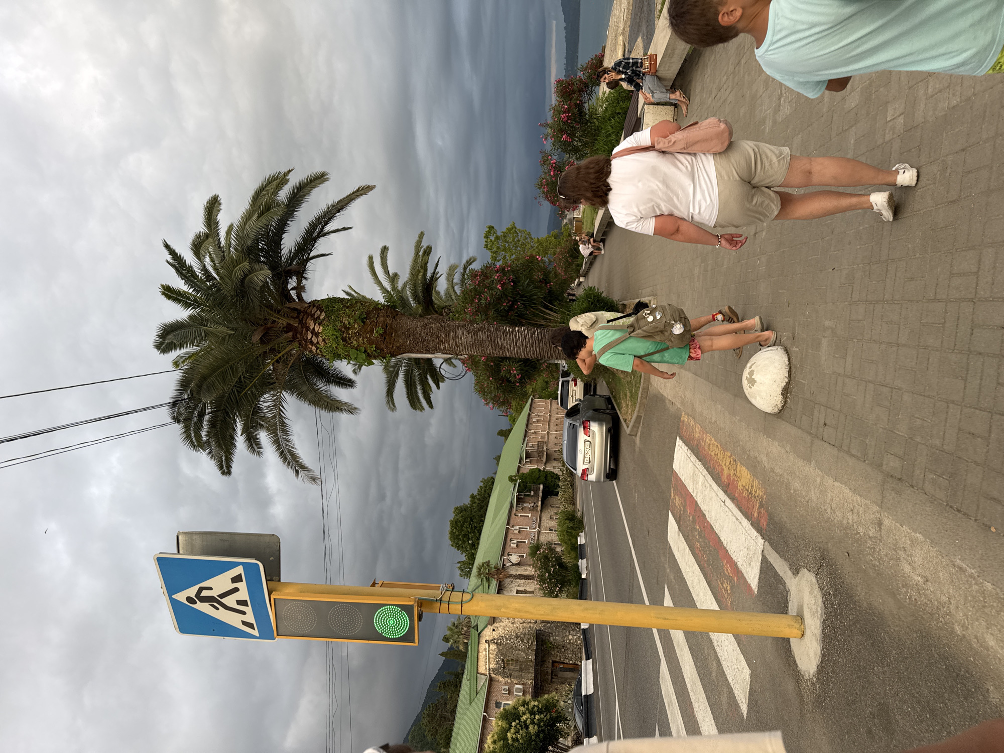 A pedestrian crossing is marked with white and red stripes on an asphalt road. A yellow traffic light pole stands next to the crossing, displaying a green light for pedestrians. In the background, a palm tree with a thick trunk stands tall, its fronds spread wide against a cloudy sky. Beyond the palm tree, a building with a green roof and stone facade is visible. Several people are walking on a paved sidewalk next to the road. One woman in a white t-shirt and beige shorts is walking away from the camera, carrying a pink bag. Another person, a child in a light blue t-shirt, is walking towards the camera. The scene is set in New Athos, Abkhazia, with the sea visible in the distance.
