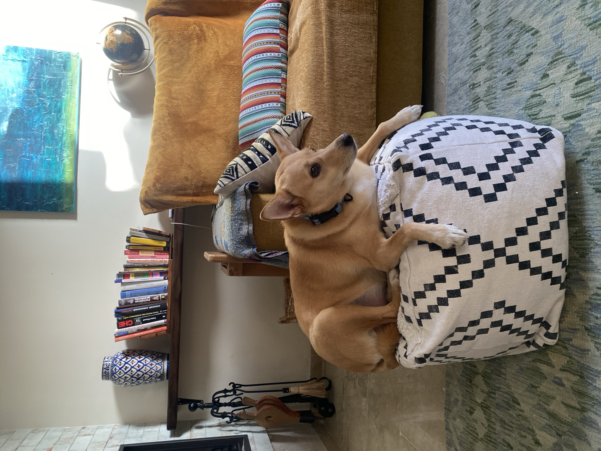 A medium-sized, light brown dog with perky ears lies on a patterned ottoman in a living room. The dog is facing to the right, with its head slightly raised and its paws resting on the ottoman. Behind the dog, a mustard-yellow couch with decorative pillows is visible. A wooden shelf above the couch holds a blue and white patterned vase and a collection of books. The room features a fireplace poker set to the left and a world globe on a stand to the right. A painting with abstract blue and green brushstrokes hangs on the wall above the couch. The flooring includes a patterned rug beneath the ottoman and what appears to be tile flooring. The environment suggests a comfortable, lived-in space. This scene is located in a home in Estepona, Spain.