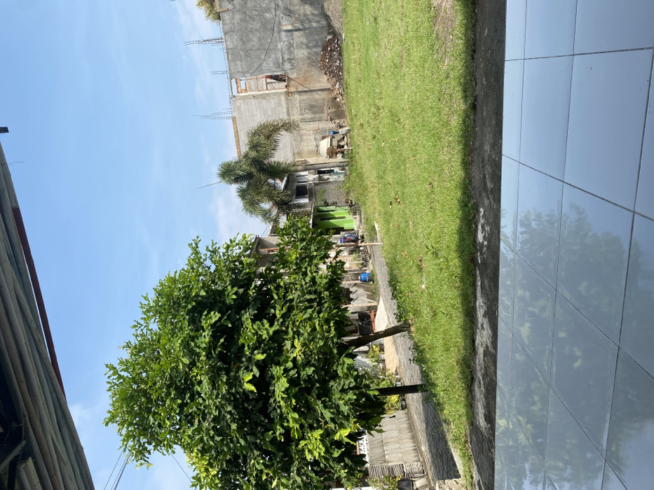 The image shows a view from a patio in Kecamatan Piyungan, Indonesia, with coordinates -7.827 latitude and 110.482 longitude. The patio is made of light grey tiles. There is a large green tree in the foreground and a small palm tree in the background. The scene is a mix of paved areas and grass with some foliage and a small concrete wall in the background.