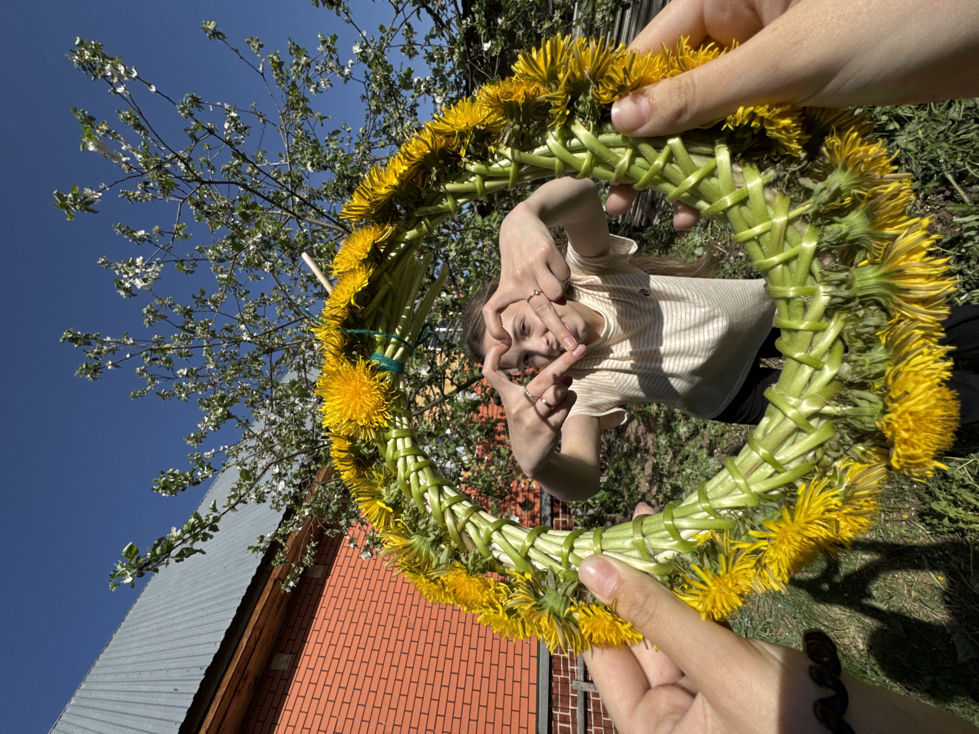 A person holds up a dandelion wreath in front of a young woman, who is looking through the wreath and making a heart shape with her hands. The wreath is made of green stems and yellow dandelion flowers. The person holding the wreath has fair skin. The young woman has long hair and is wearing a striped shirt. In the background, there is a tree with white blossoms, a blue sky, and a building with a gray roof and brick walls. The location is Кемуль, Russia.