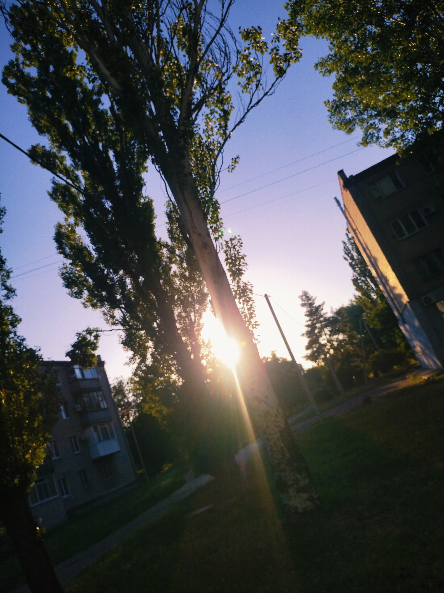 The image depicts an outdoor urban scene, possibly in Horishni Plavni, Ukraine, during a sunset. Tall, slender trees with green foliage are prominent, casting shadows and allowing sunlight to filter through their branches. The sun is low on the horizon, creating lens flare effects and casting a warm glow. In the background, a multi-story residential building with visible windows and balconies is partially obscured by trees. Another building, appearing to be a longer, more industrial structure, is visible to the right. The ground is covered with grass and a paved pathway or sidewalk. Overhead, power lines are strung between poles. The overall impression is one of a quiet, late afternoon or early evening in a residential area.
