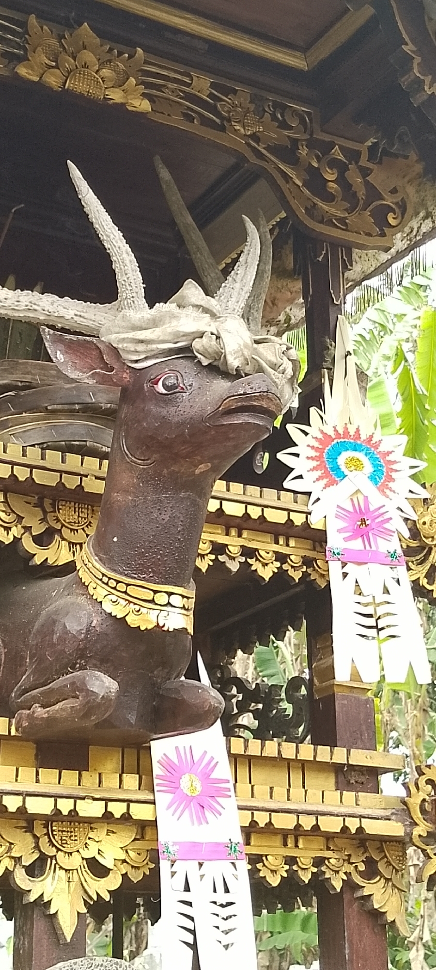 A wooden carving of a deer with large, textured antlers sits in a shrine-like structure in Pekutatan, Indonesia. The deer carving is dark brown with red-painted eyes and a golden collar. It is adorned with a white cloth wrapped around its head, obscuring the base of its antlers. The structure itself is elaborate, featuring dark wood with intricate gold carvings of floral and leaf motifs. Hanging from the structure are two elaborate paper decorations. One, to the right of the deer, is a starburst-like arrangement with pink, blue, and white elements. The other, hanging in front of the deer, is a long, white paper streamer with a pink flower design and a pink band with green floral accents. The background is slightly blurred but shows greenery, suggesting an outdoor or semi-outdoor setting.