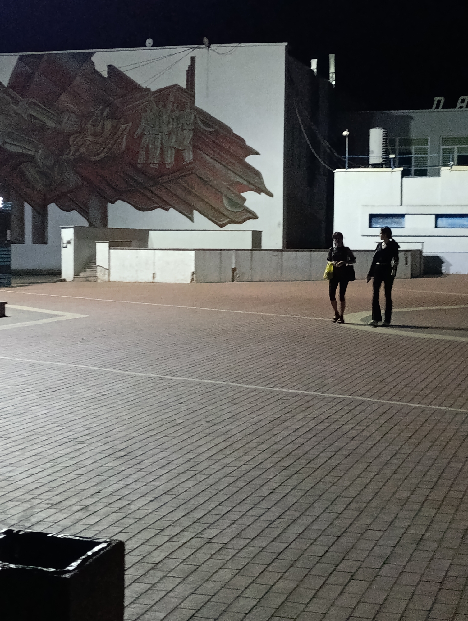 The image shows an outdoor urban scene at night. In the background, a large building features a mural depicting figures and banners. To the right of the building, two women are walking across a paved plaza. The plaza is made of brick pavers, and there are faint white lines dividing sections of the pavement. In the foreground, a dark, rectangular trash receptacle is visible on the left. The lighting suggests artificial illumination, casting shadows and highlighting the textured surfaces of the plaza. The context provided indicates this location is in Ladyzhyn, Ukraine.