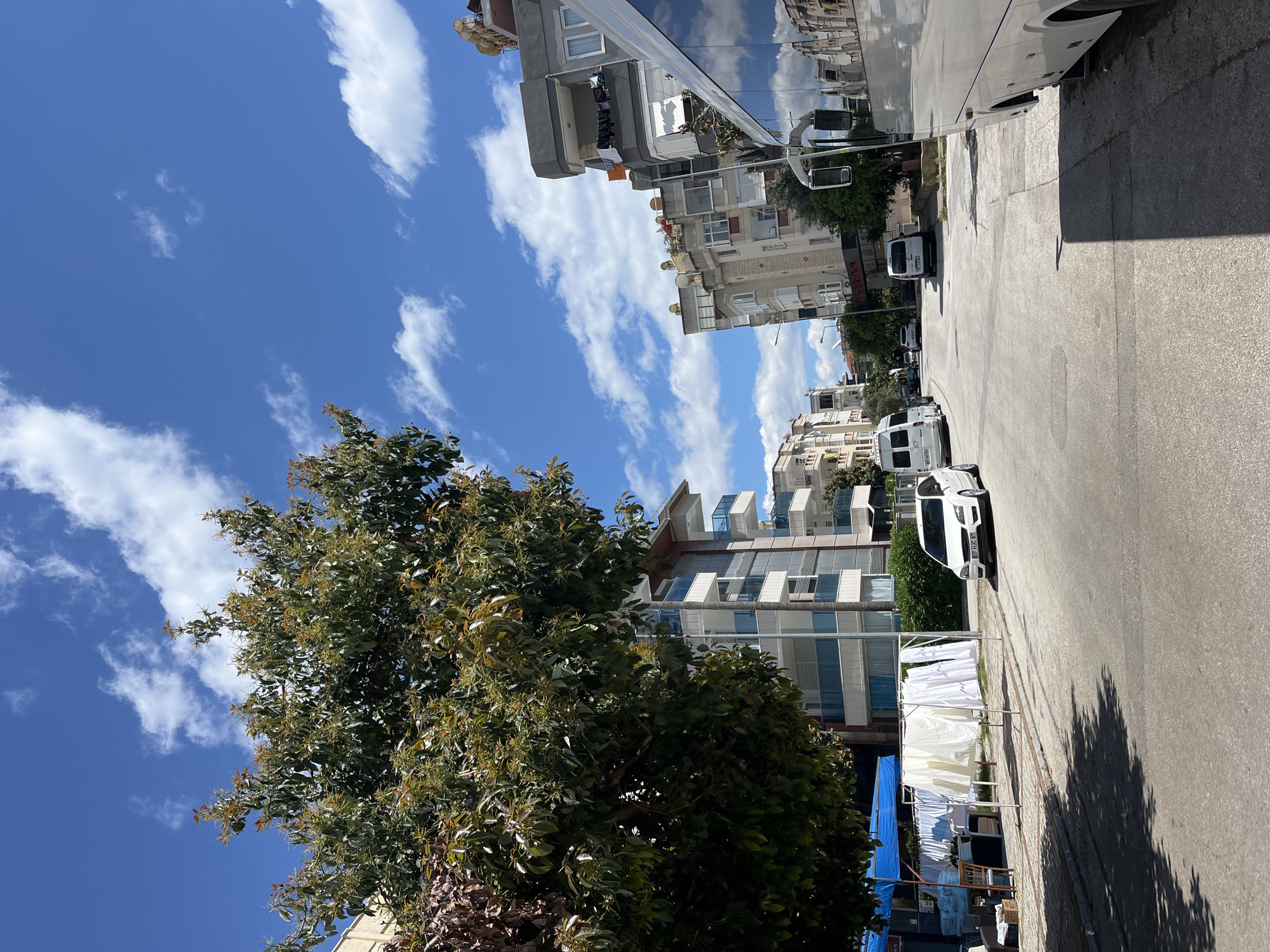 The image shows a street scene in Alanya, Turkey, characterized by a residential street with apartment buildings lining one side, under a partly cloudy sky. A large tree occupies the left side of the frame. Laundry hangs on a clothesline on the sidewalk. Several white vans are parked along the street. A large passenger bus is visible, with reflective glass, in the distance. The street surface appears to be asphalt. The lighting is bright, suggesting a sunny day. No people are visible.