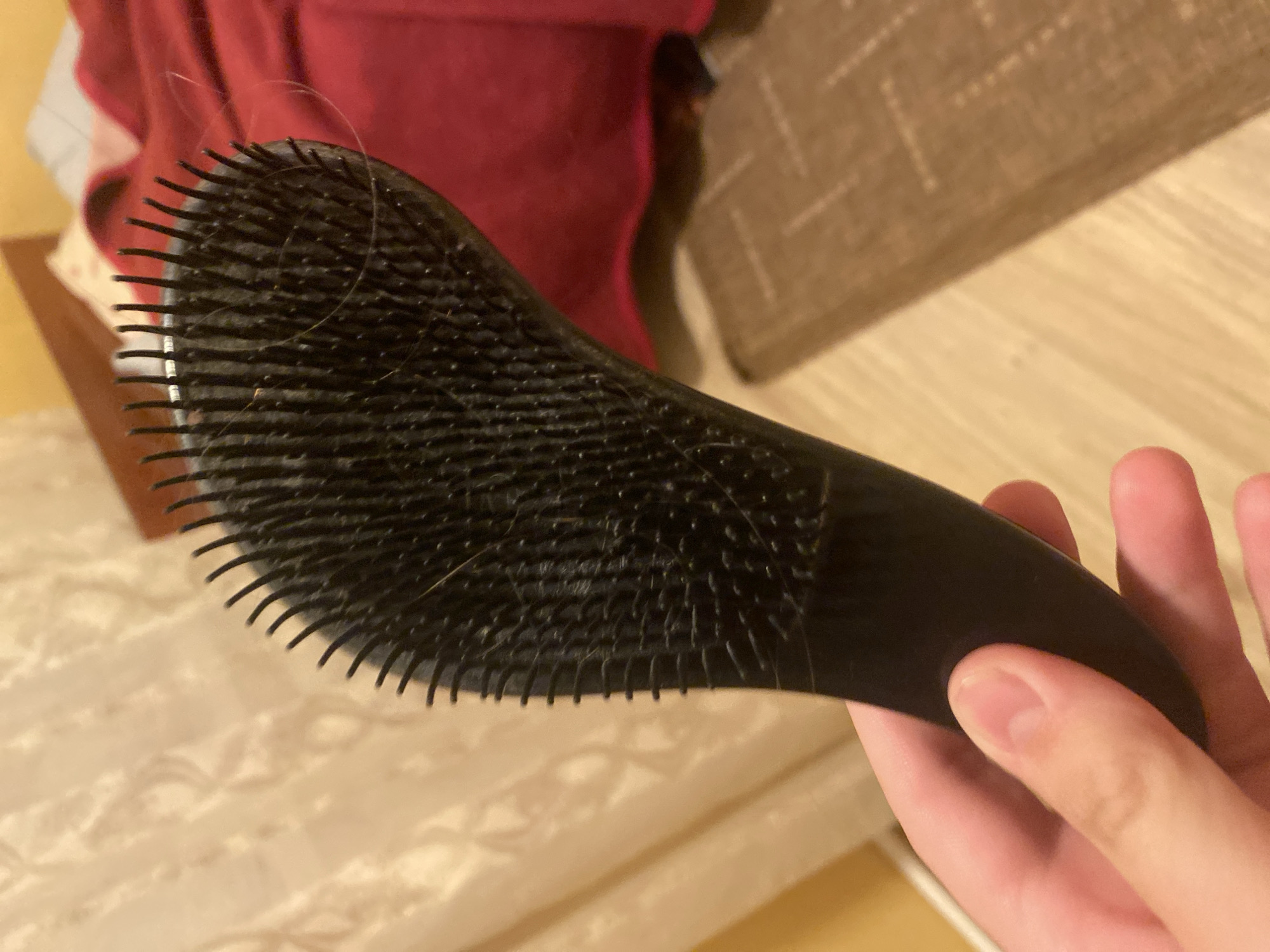 A hand holds a black hairbrush. The hairbrush is black with many short, stiff bristles. Some light-colored hairs are caught in the bristles. The background is out of focus and shows a red blanket or bedspread, a beige curtain, and a wooden floor with a patterned rug. There is no indication of the location being in Afanasyevo, Russia.