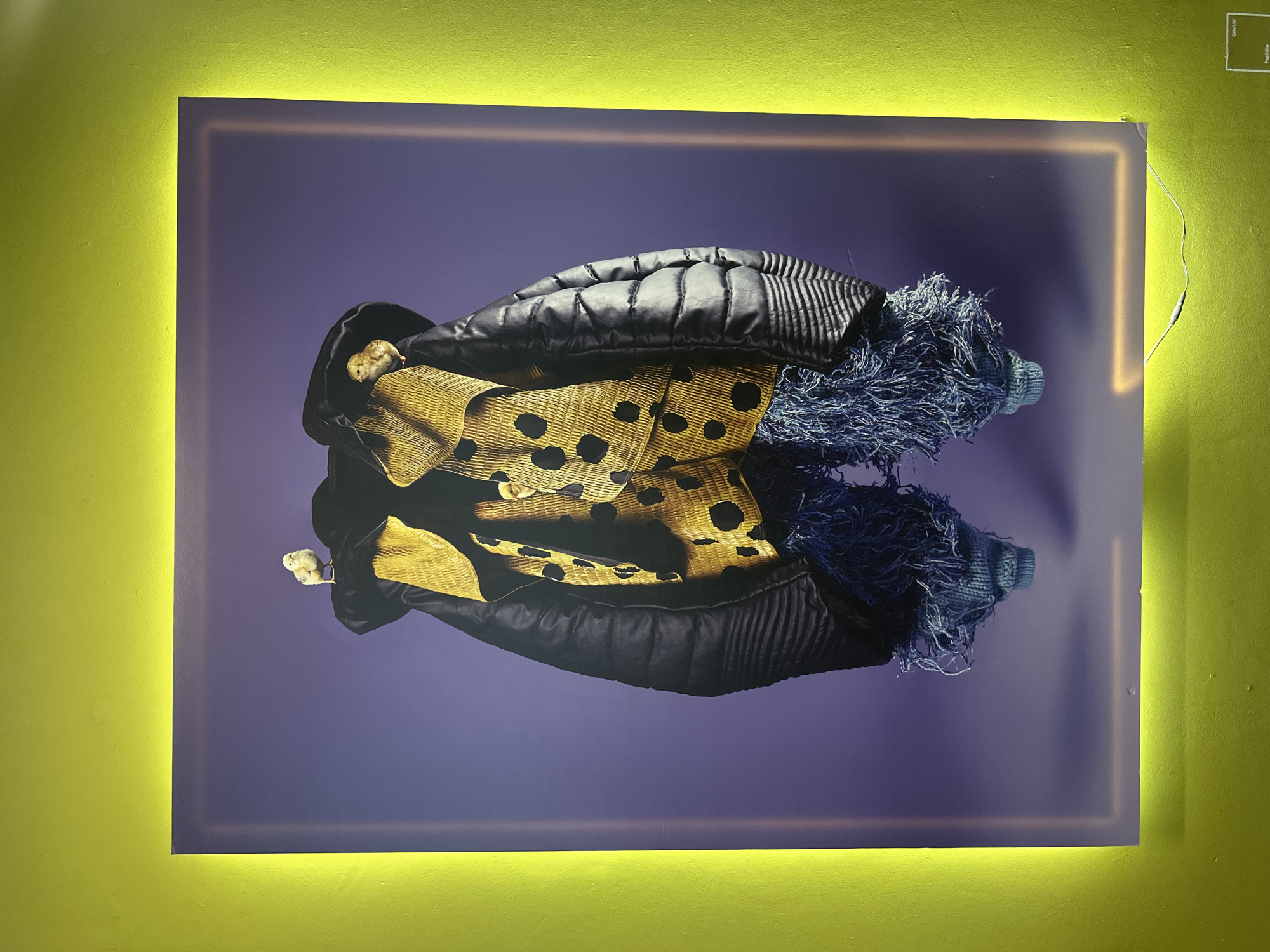 The image shows a photograph of a display in Mexico City, Mexico. The display features an abstract artistic arrangement of clothing, possibly a fashion piece, presented against a purplish background. The piece includes components of what appear to be a black leather jacket, a yellow and black spotted woven material, and a blue fringed section with what might be a knitted cuff. The photograph is framed by a square light fixture, mounted on a lime green wall. A small chick (baby chicken) is visible at the top left corner of the arrangement. The wall appears to be painted in a matte finish. A small cord runs up the right side of the frame to the light fixture, presumably providing power. The lighting in the room is dim, emphasizing the illuminated frame of the photograph.