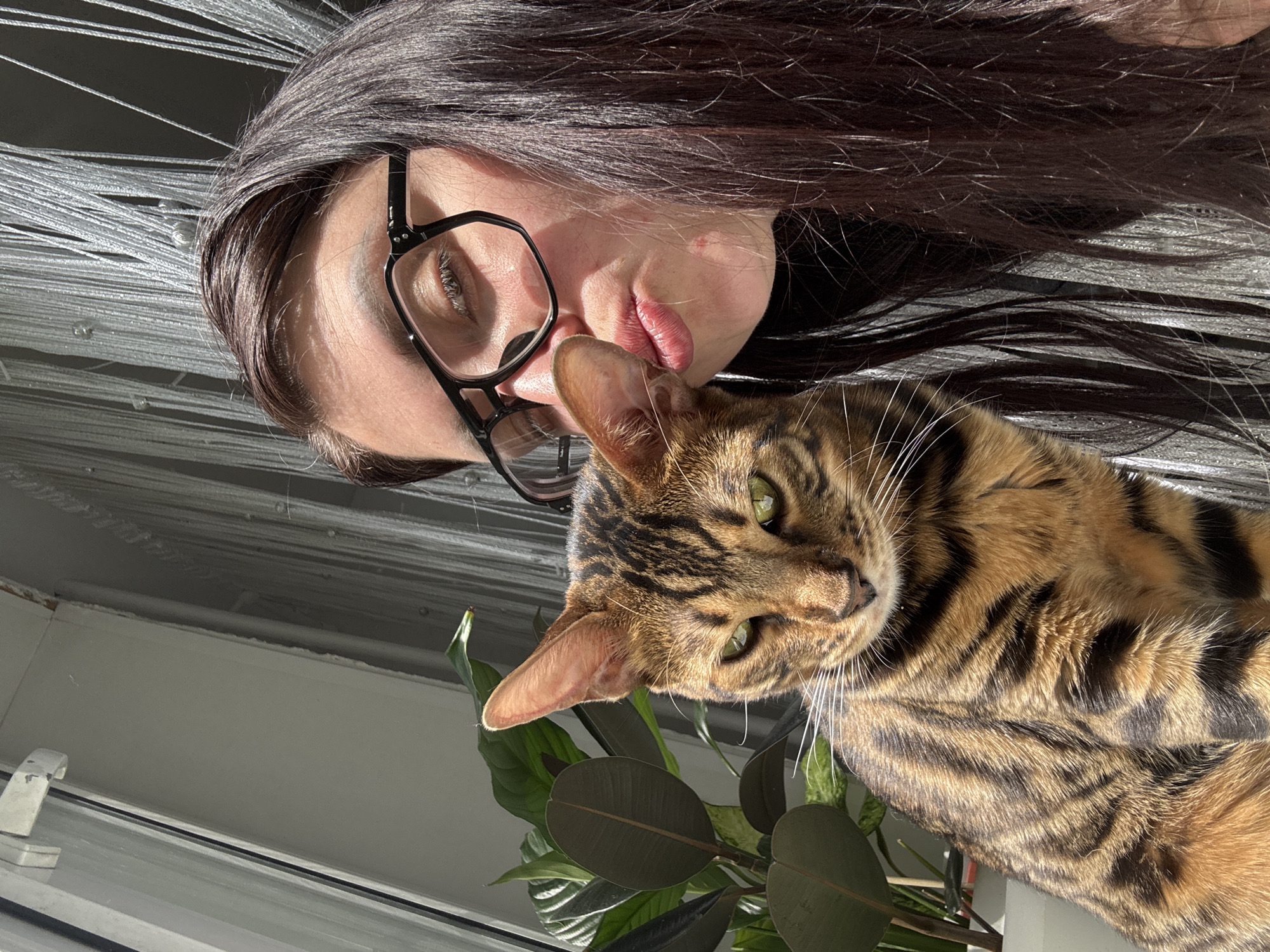 The image shows a woman with long, dark hair and glasses in close proximity to a Bengal cat. The woman is lying down, possibly on her back, with her head angled towards the viewer. Her lips are pursed slightly, as if she's about to kiss or nuzzle the cat. The cat is positioned in front of her, its head angled towards the camera, with green eyes visible. Part of a potted plant with dark green, rounded leaves can be seen near the cat. The background includes a window frame and what appears to be a decorative string curtain. The location is Unknown, Unknown.