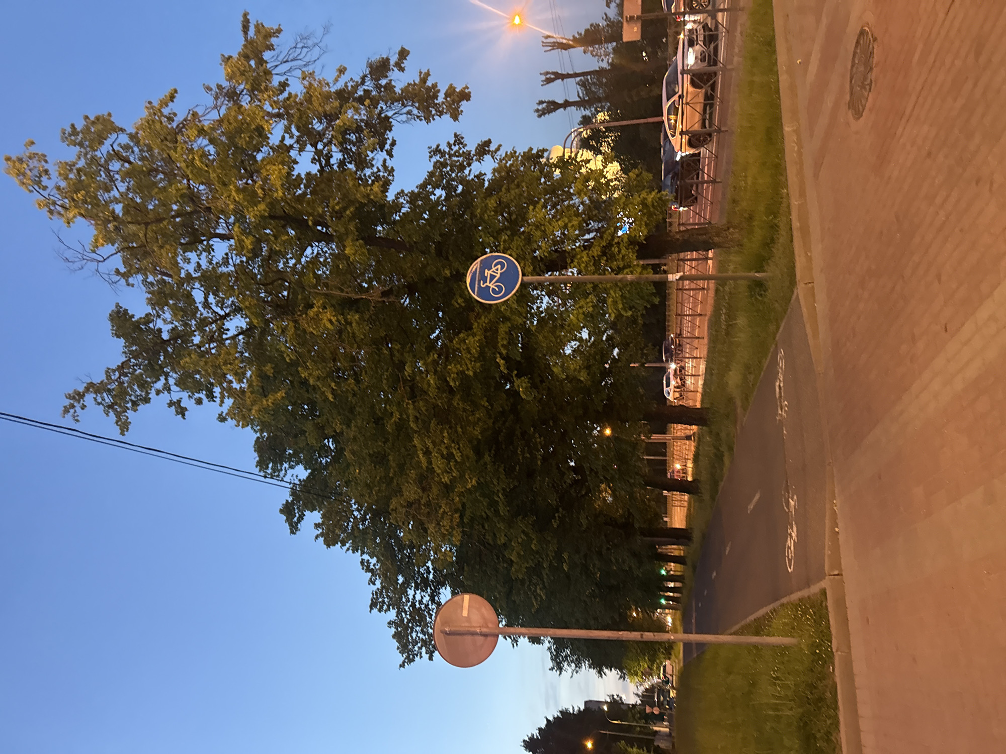 The image depicts a street scene in an urban environment, likely in Russia, given the Cyrillic script on signage (though not explicitly visible in this image, it's a common characteristic of Russian streetscapes). The time of day appears to be dusk or early evening, as indicated by the clear, darkening blue sky and the illuminated streetlights.
In the foreground, a paved pedestrian walkway runs parallel to a designated bicycle lane. The bicycle lane is marked with white dashed lines and a bicycle symbol painted on the asphalt. To the left of the pedestrian walkway, there is a circular, reddish-brown traffic sign mounted on a pole, its purpose unclear from this angle. Further down the street, a blue circular sign with a white bicycle symbol is visible, clearly indicating a bike path.
A row of mature trees with dense green foliage lines the right side of the street, casting shadows. Beyond the trees, there is a road with several cars visible, including a white SUV in the mid-ground. Streetlights are positioned along the road, some emitting a warm orange glow. The overall impression is that of a well-maintained urban infrastructure designed to accommodate both pedestrians and cyclists, set against a backdrop of natural greenery. The scene is calm and orderly, with no people or animals immediately discernible.