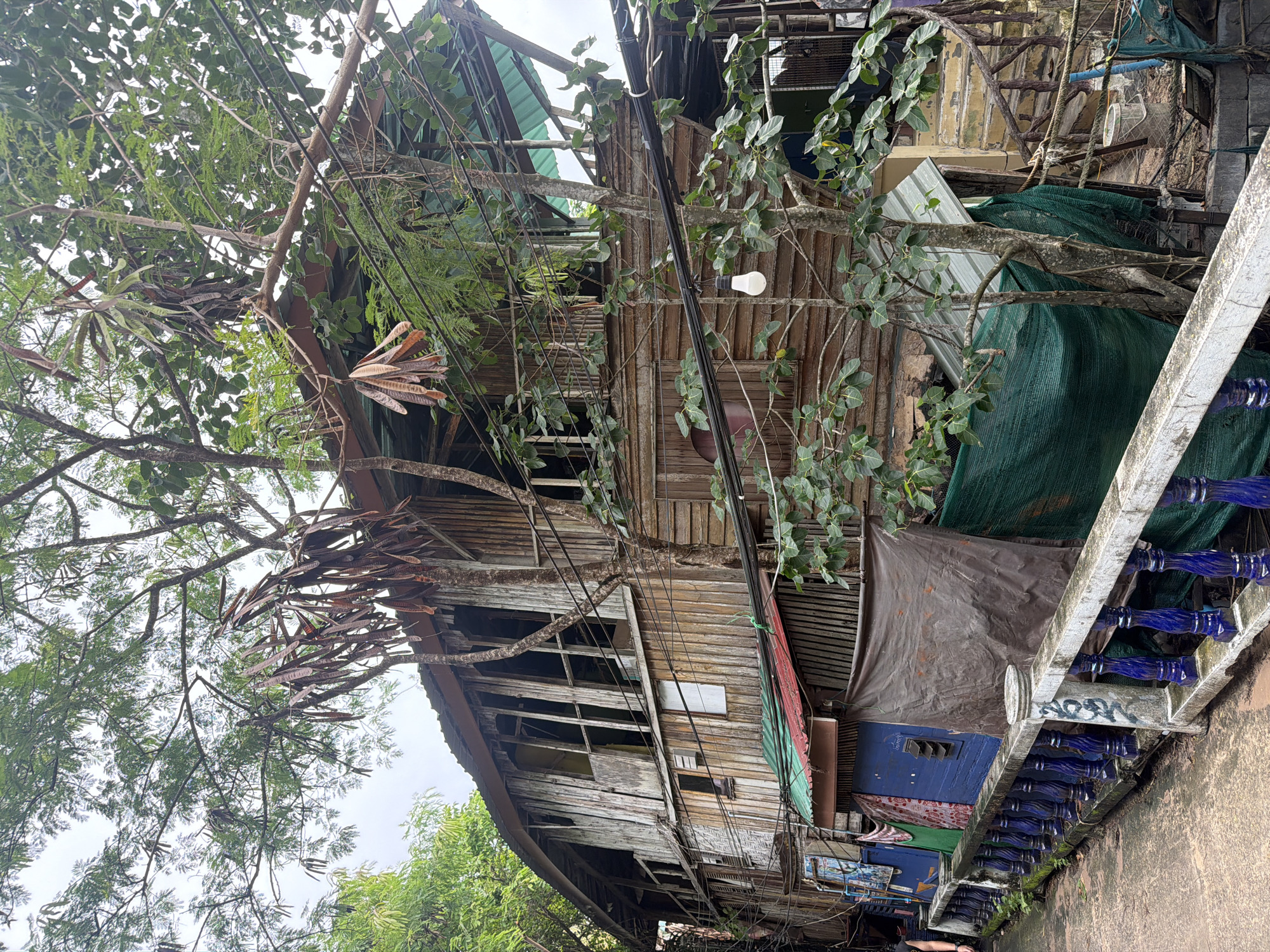 The image depicts a weathered, multi-story wooden building that appears to be constructed from various salvaged materials. The structure, located in Ao Nang, Thailand, leans and shows signs of disrepair, with decaying wood and broken windows. Lush green foliage, including trees with seed pods, surrounds the building, some branches intertwined with the structure. Electrical wires are visible overhead and draped across the building. Below the main structure, there are makeshift additions with tarps and corrugated metal roofing in shades of blue, red, green, and brown. A blue and white ornate railing runs along a concrete pathway in the foreground, with some moss and grime visible on its surface. The overall impression is one of a dilapidated, yet vibrant, dwelling integrated into a tropical environment.