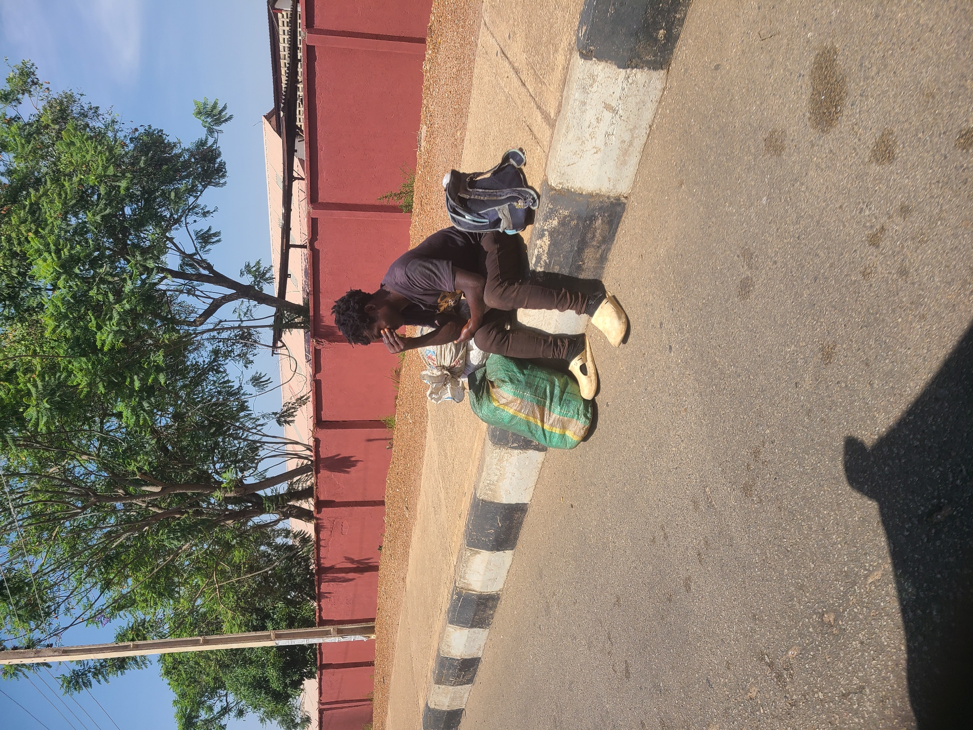 The image captures a roadside scene in Jos, Nigeria, on a bright, sunny day. The primary subject is a dark-skinned individual, likely male, with dreadlocked or braided dark hair, wearing a dark t-shirt, dark trousers, and light-colored sandals. He is sitting on the asphalt road next to a curb, with one hand raised to his face, possibly resting his head, shading his eyes from the sun, or in a thoughtful pose.
Beside him are several belongings: a blue and grey backpack is on the ground near his upper body, and two large bags, one white or light grey and the other green with yellow stripes, are placed next to his legs. These bags suggest he might be traveling or carrying goods.
The setting includes a black and white striped curb that separates the asphalt road from a dirt or gravel strip. Beyond this strip, a reddish-brown wall or building facade extends across the background. To the left, large green trees with dense foliage are prominent, reaching high into the bright blue sky, which has only a few faint clouds.
The strong sunlight creates clear, distinct shadows on the asphalt, indicating mid-day or early afternoon. The overall impression is of a moment of rest or pause in an outdoor urban or semi-urban environment. There is no visible text in the image.