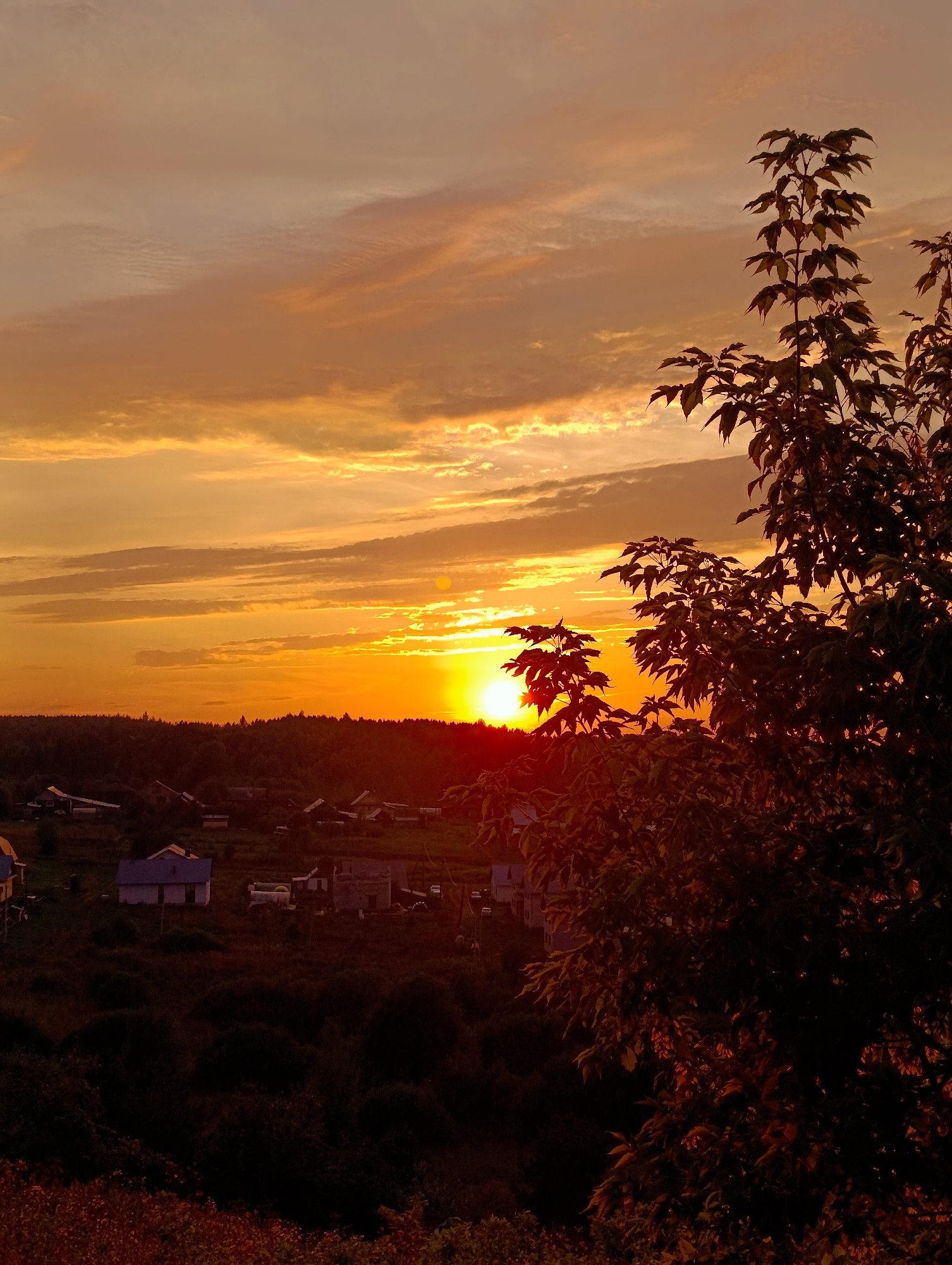 The image depicts a rural landscape at sunset in the city of Foky, Russia. A vibrant orange sun is setting on the horizon, casting a warm glow across the sky filled with streaky clouds. In the foreground, the silhouette of a tree with dark leaves frames the right side of the scene. Below the sky, a wooded area transitions into a small village with several houses and structures. The houses are sparsely scattered and appear to be of a modest size, with some having visible roofs and walls. The overall impression is one of a peaceful, rural evening in a Russian settlement.