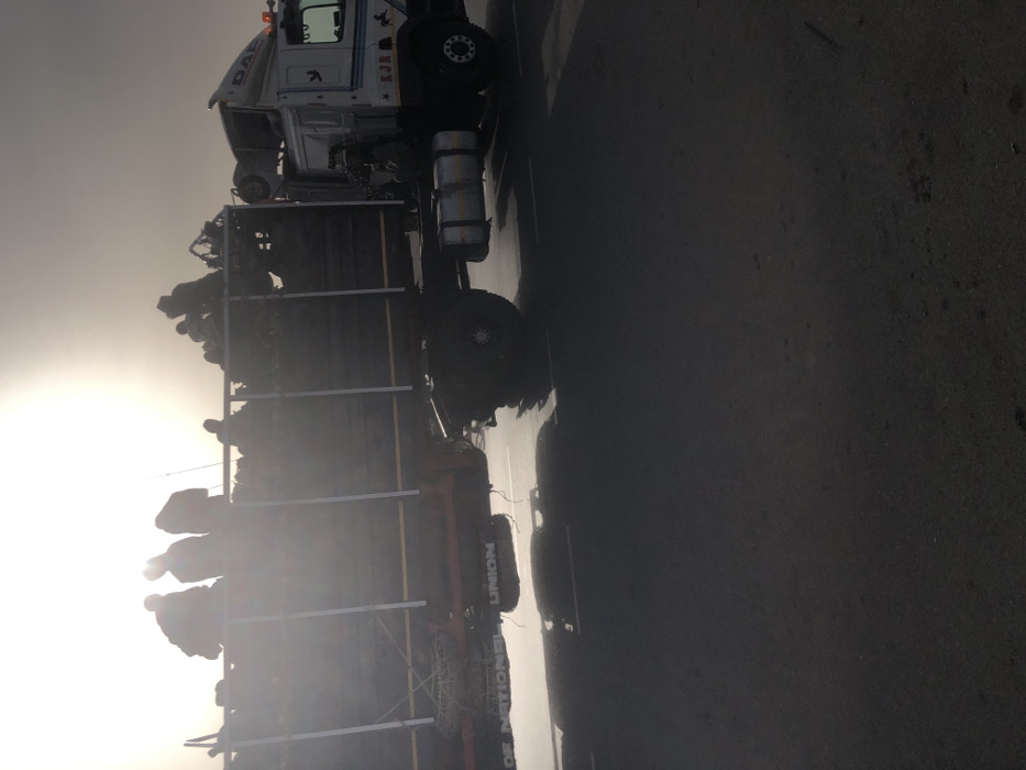 A truck with a full load of brush is visible. The truck has a large cage on its bed for the brush, with what appears to be "UNION" and a partial word beneath it visible on the side. The cab of the truck is mostly white with "DAF" labeled in black and red markings and an image of a stick figure. The day is hazy with a bright light shining in the background. The truck is parked on a black asphalt surface.