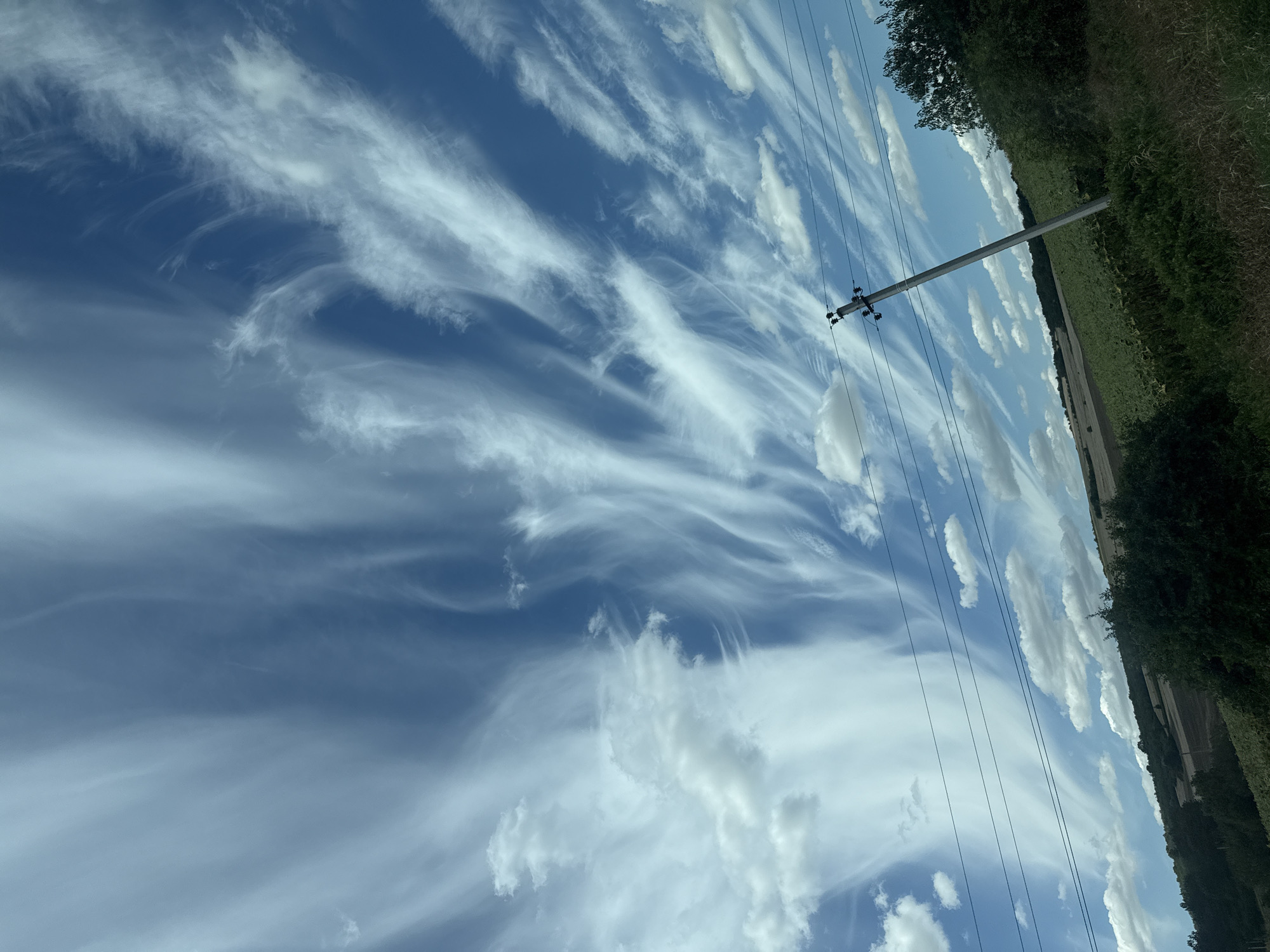 The image depicts a wide-angle view of a rural landscape under a dynamic sky. The upper two-thirds of the frame are dominated by a bright blue sky filled with wispy, feathery white clouds that stretch across the expanse, some appearing as streaks and others as more defined formations. A single, leaning utility pole with multiple wires stretches diagonally from the lower right towards the center of the frame. Below the sky, a rolling landscape is visible. The middle ground features a large field, possibly of crops like sunflowers, characterized by dark green vegetation. Beyond this, there are areas of cultivated land that appear fallow or with shorter vegetation, showing shades of brown and green. A line of trees forms a dark border along the horizon, and in the foreground, lush green foliage and grass are visible, with some darker, denser bushes on the left. The scene appears to be located in or around Valea Perjei, Moldova, suggested by the rural setting with agricultural fields and utility infrastructure. There are no people or animals visible in the image. The lighting suggests it is daytime, with the sun likely positioned to the side, casting subtle shadows and illuminating the clouds.