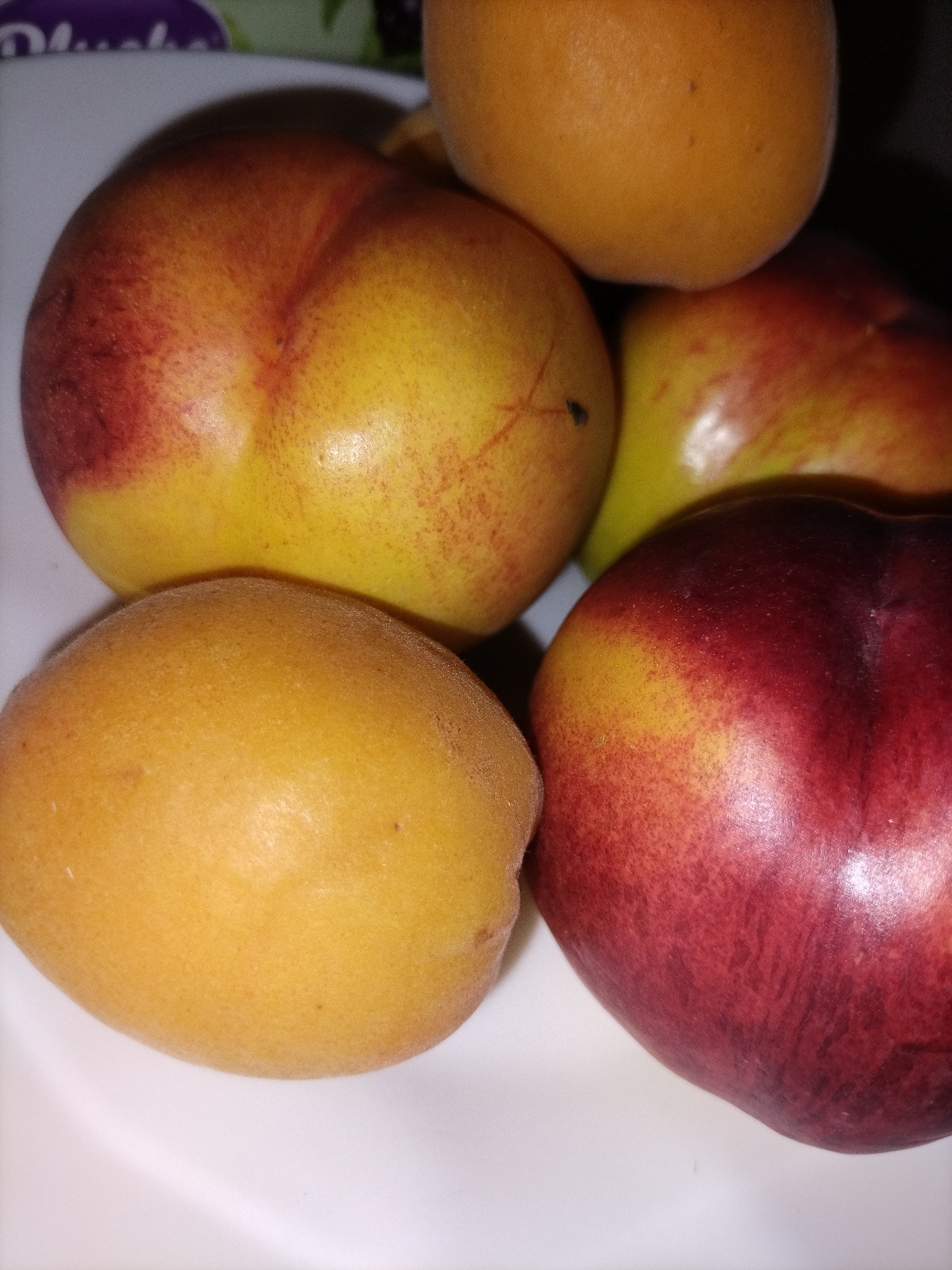 A close-up, top-down shot shows a collection of five stone fruits on a white plate. From left to right, a single apricot is partially visible in the foreground. To its right and slightly behind, a nectarine displays a deep red blush transitioning to yellow. Behind these, another apricot, a nectarine with red and yellow coloring, and a single apricot fill the frame. The lighting creates shadows that emphasize the fruits' curves and textures. The background is dark, except for a sliver of a purple and white object in the upper left corner. No people are visible.