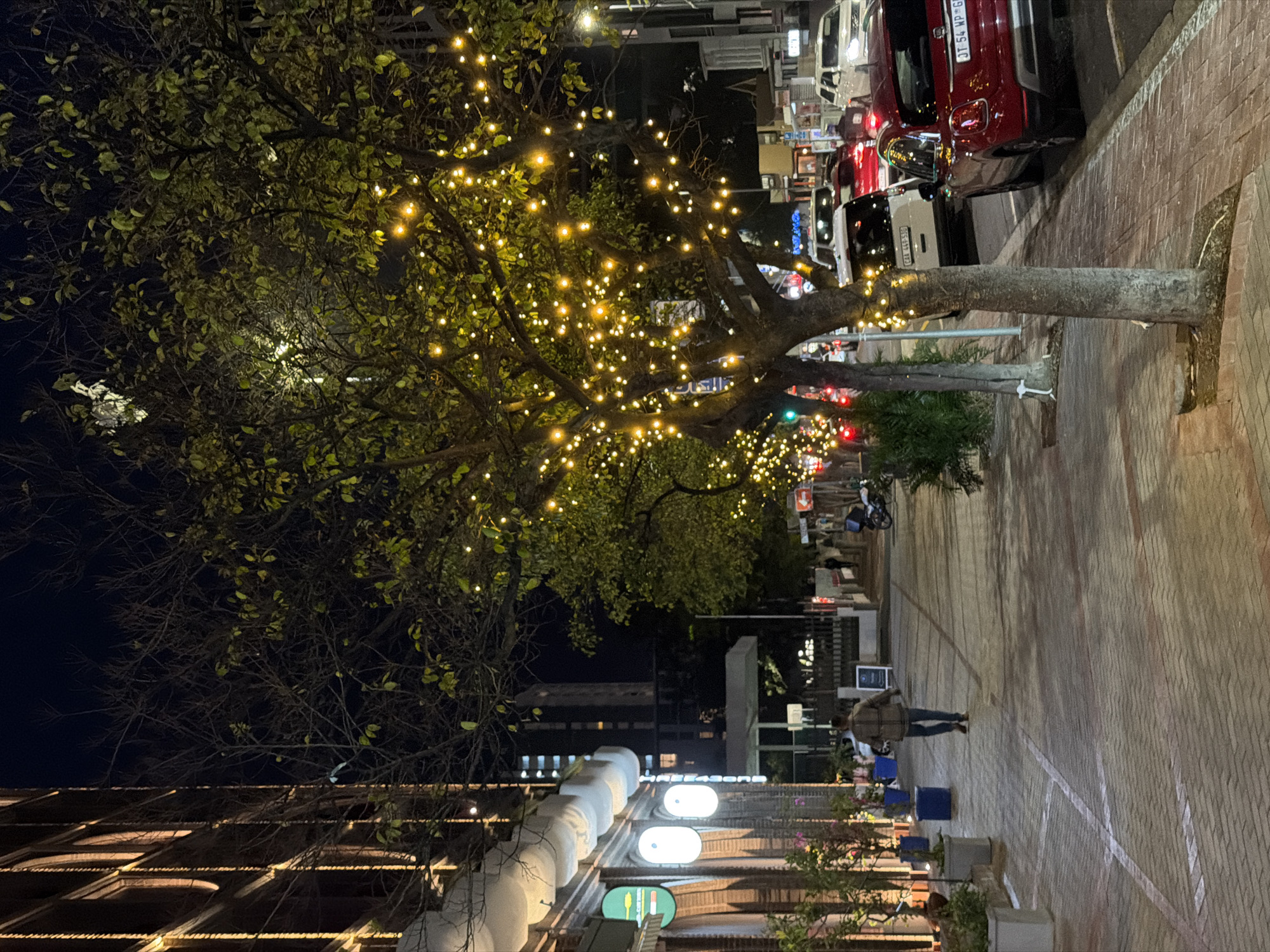 An urban street scene unfolds at night, illuminated primarily by artificial lights. A large tree, dense with green leaves and wrapped in hundreds of warm white string lights, dominates the foreground on the left. Its branches extend across the dark night sky. Below the tree on the left, building facades feature additional lights, including prominent white cylindrical fixtures and a round sign displaying what appears to be abstract cutlery symbols, suggesting a dining establishment.
To the right of the tree, a wide, brick-paved sidewalk or pedestrian area stretches into the distance. A person in a jacket and jeans walks away from the camera on this paved surface. Further down the street, more people are faintly visible. Along the right edge of the image, several cars are parked bumper-to-bumper next to the curb, which also features the same brick paving. A bright red car is prominent among them. Its partially visible license plate reads "JT 54 NP GP." Behind it, a white and black car has a license plate starting with "CAE 440-530," indicating a vehicle registered in the Western Cape, South Africa.
The overall atmosphere is one of an active evening street, likely a commercial or entertainment district, with festive lighting enhancing the urban landscape. The time of day is clearly night, with the dark sky providing a backdrop for the numerous sources of artificial light from trees, buildings, and vehicles.