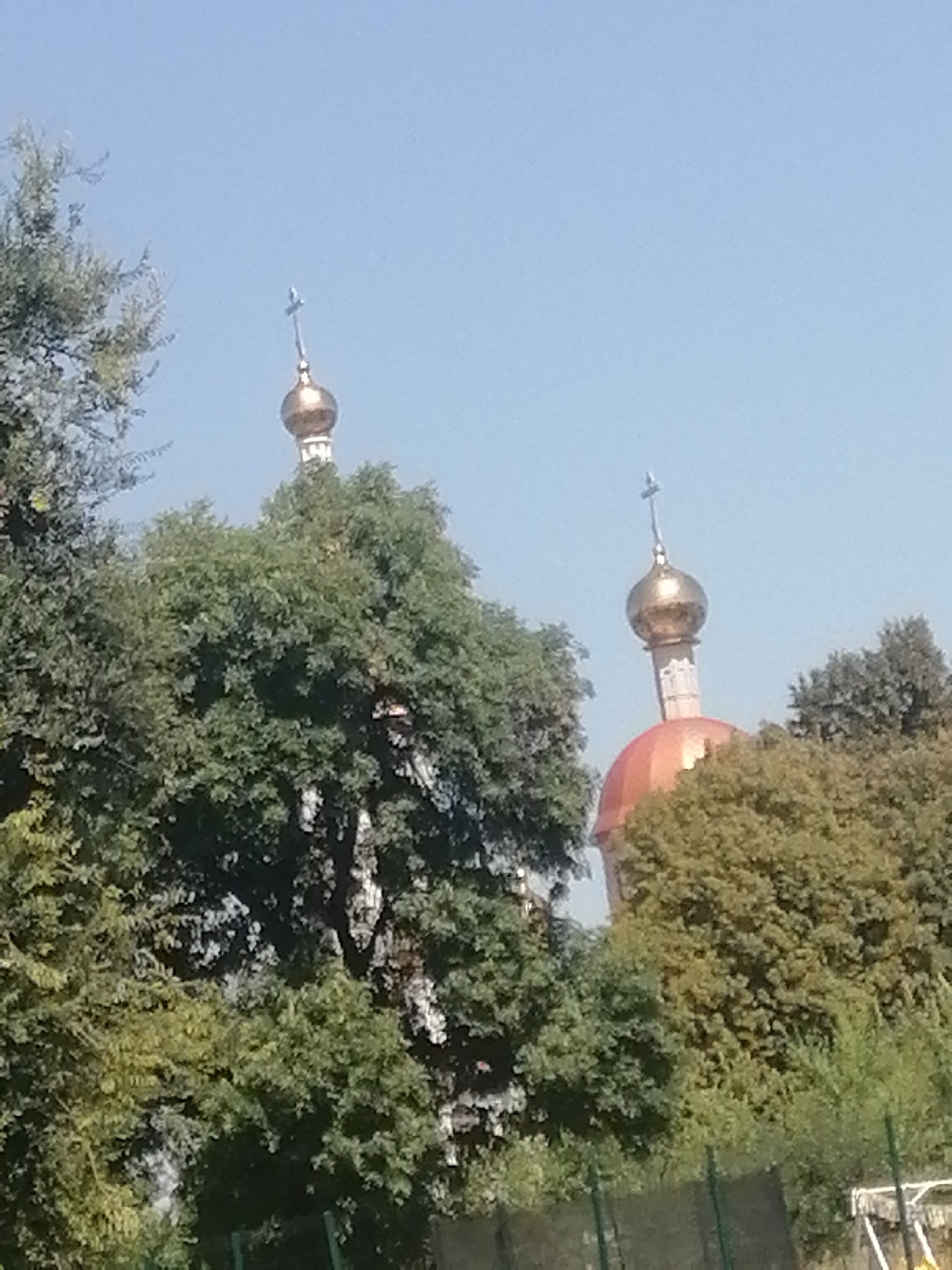 The image shows two church domes peeking over a canopy of lush green trees under a clear blue sky. The dome on the left is golden and topped with a cross, while the dome on the right is also golden and appears to be part of a larger structure with a reddish-orange base. The trees are dense and occupy the majority of the foreground and midground. The overall scene is peaceful and suggests a bright, sunny day. This scene is likely located in Kremenchuk, Ukraine, given the characteristic architecture of Orthodox churches with golden domes, commonly found in Ukrainian cities.
