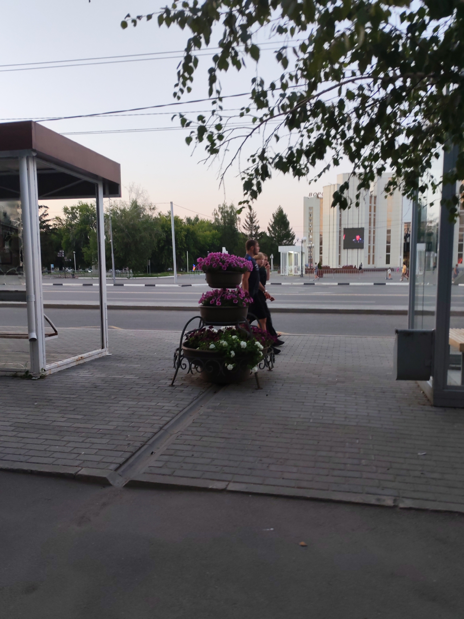 An eye-level, medium shot captures a bus stop and a sidewalk in an urban environment. The bus stop, located on the left, features a brown roof and white supports with a glass enclosure. A wooden bench is visible inside the shelter. To the right of the bus stop, a three-tiered planter filled with pink and white flowers stands on a decorative metal base. A sidewalk constructed of gray pavers stretches across the foreground and into the background. Across the street, a wide asphalt road is marked with white lines. On the far side of the road, a large, white building with a prominent digital screen displaying a red and black image is situated. Green trees line the background, and the sky above is a pale blue. Three individuals are present: two women and one man. The man, wearing a blue t-shirt and black shorts, is standing on the sidewalk near the planter. Two women, dressed in dark clothing, are walking away from the viewer on the sidewalk. The scene is outdoors, with daylight casting a gentle illumination.