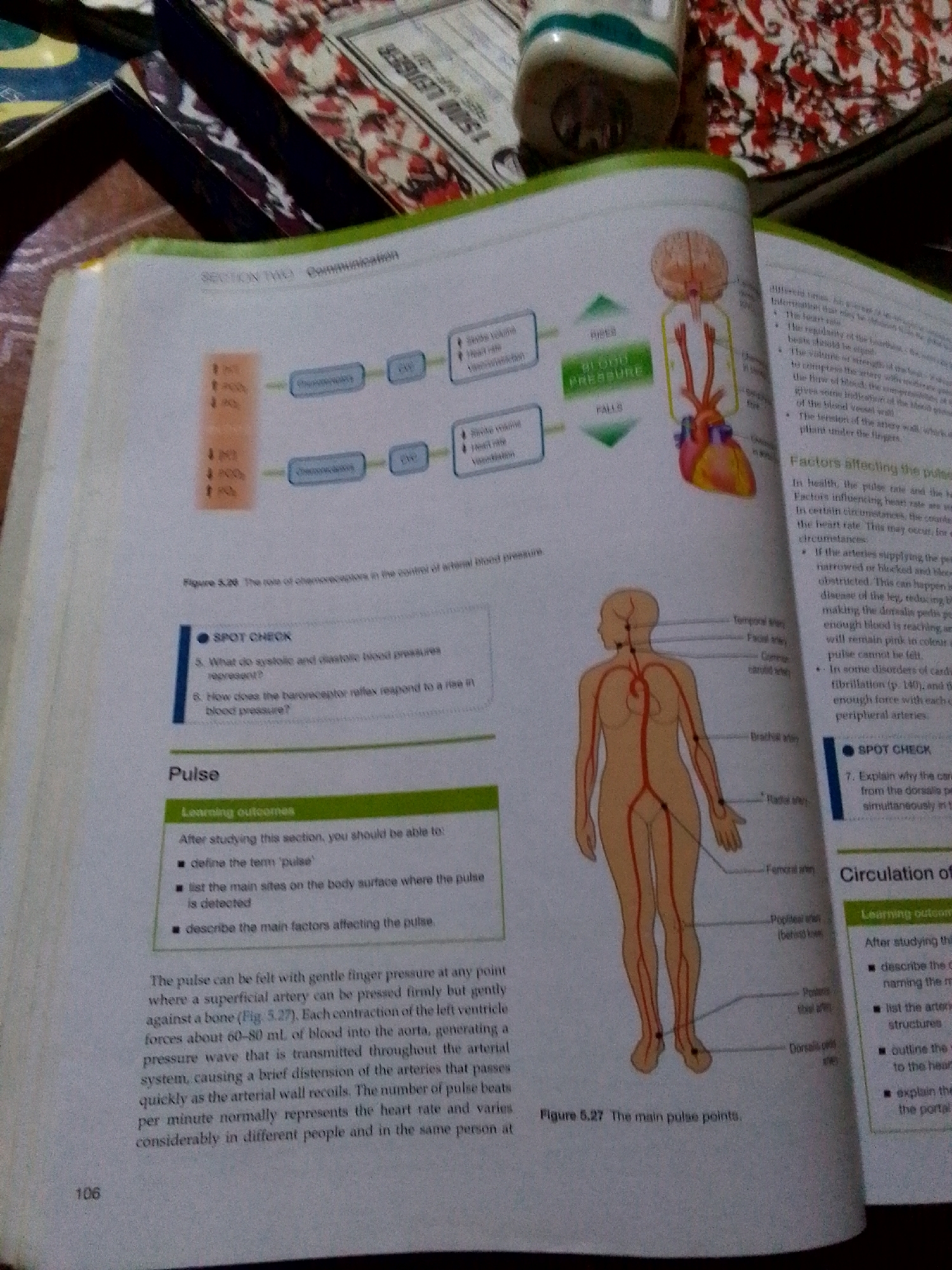 The image shows an open textbook resting on a surface with a patterned covering. The textbook pages display information about blood pressure and pulse, including diagrams of blood flow and anatomical illustrations indicating pulse points on the human body. Text segments define terms like "pulse" and explain the factors affecting it. The surrounding environment is out of focus but includes a bottle and what appears to be a notebook or ledger.